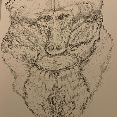 Gorilla Shaman