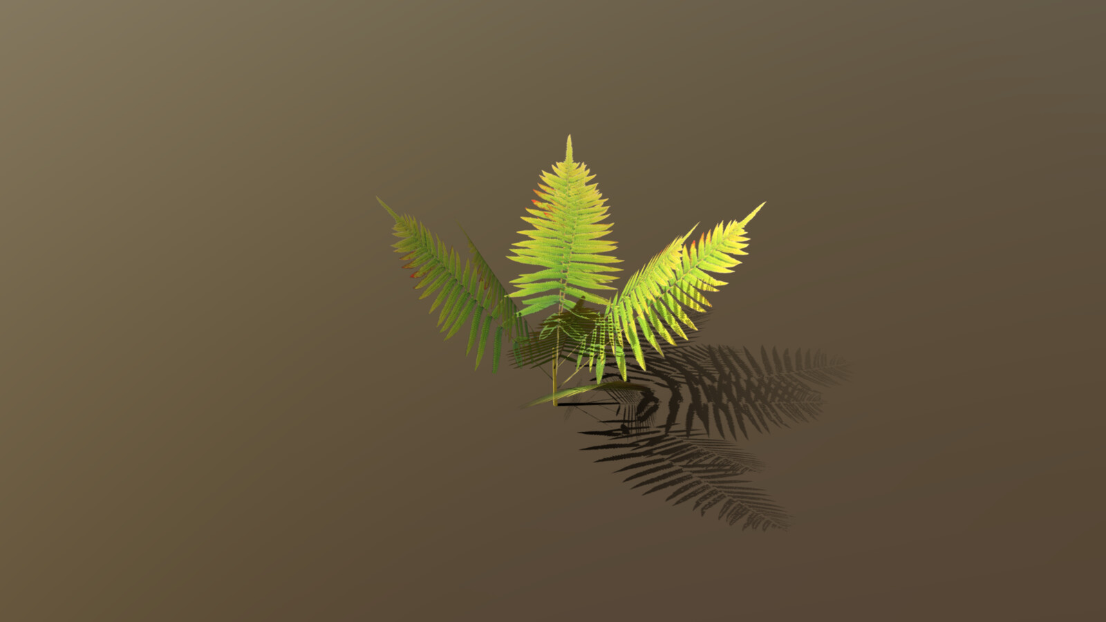 vegetative