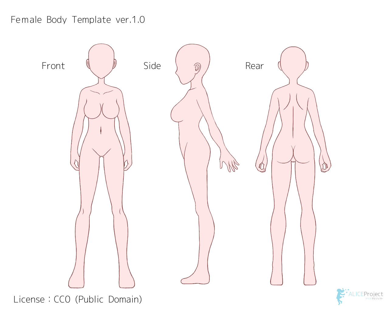 Tutorial Of Drawing A Female Body. Drawing The Human Body, Step By Step  Lessons. Stock Photo, Picture and Royalty Free Image. Image 147860182.