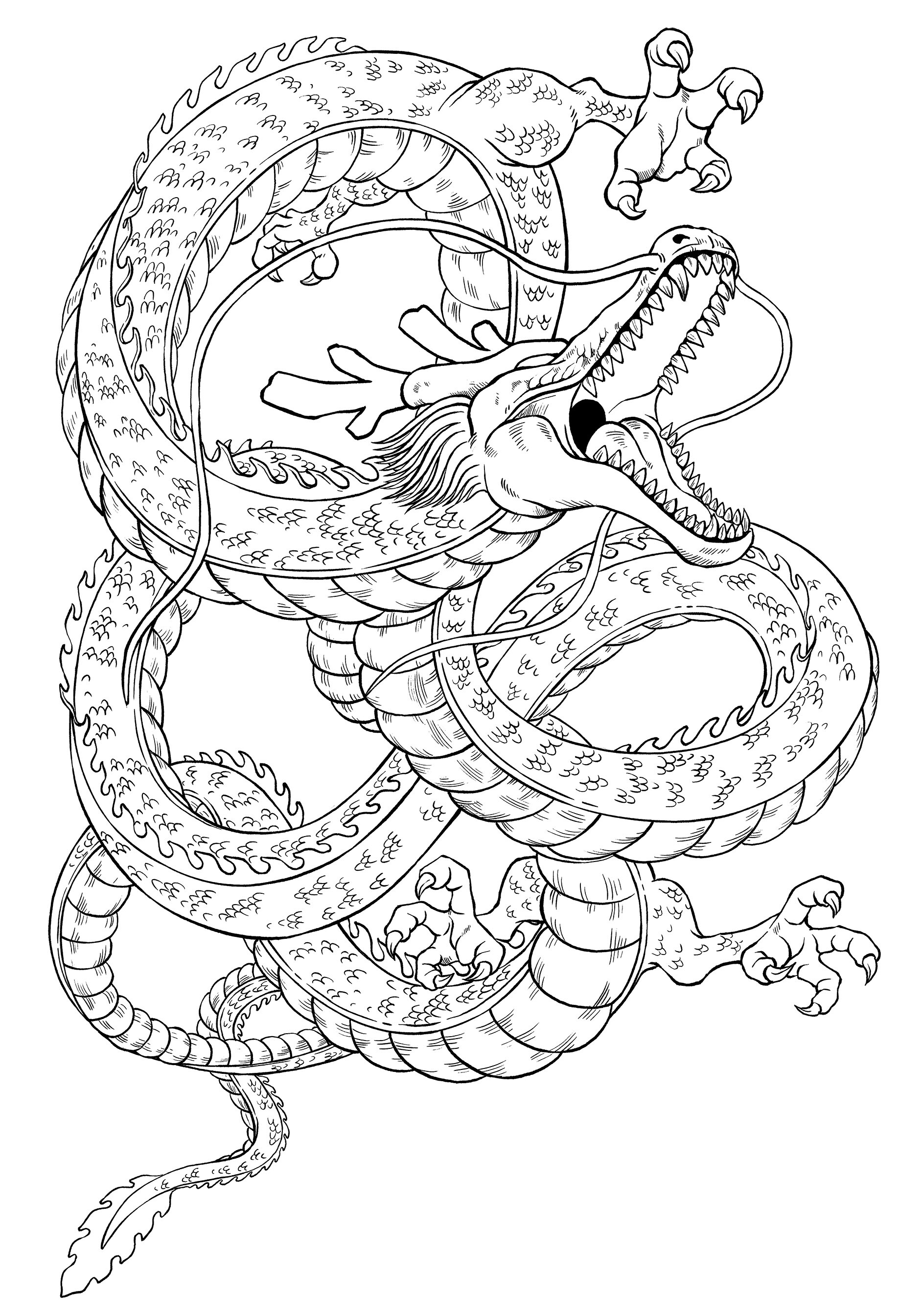 Shenron Goku Japanese Dragon Chinese - Drawing Transparent PNG