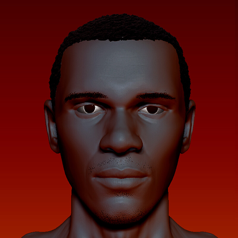 Bust