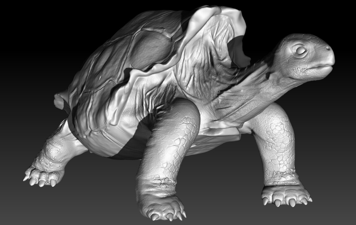 ArtStation Hood Island Tortoise