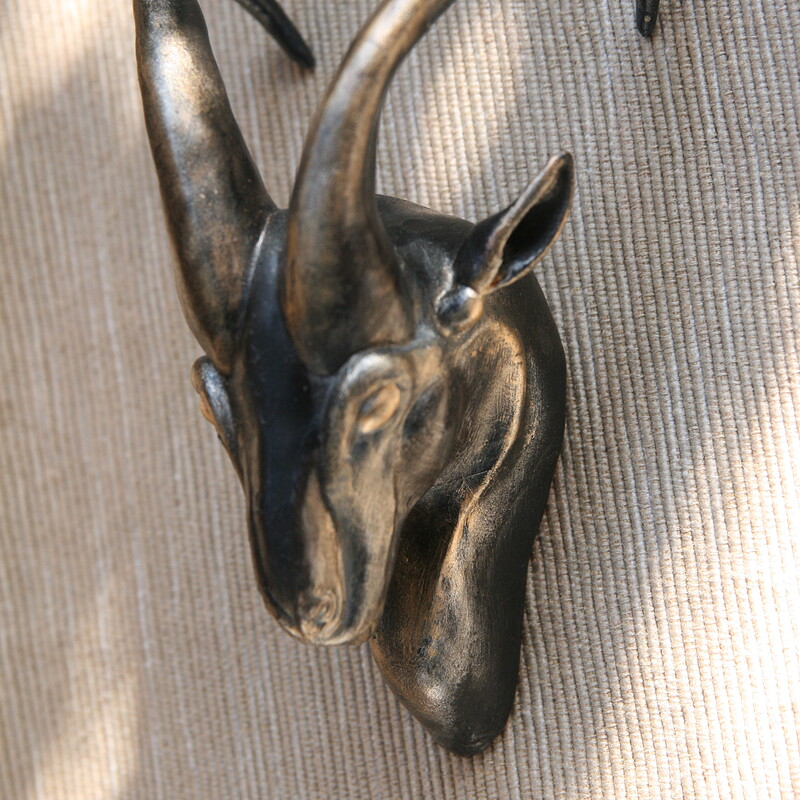 Ibex Head