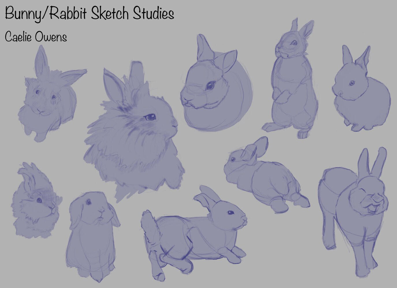 ArtStation Animal Sketch Study (Bunnies)