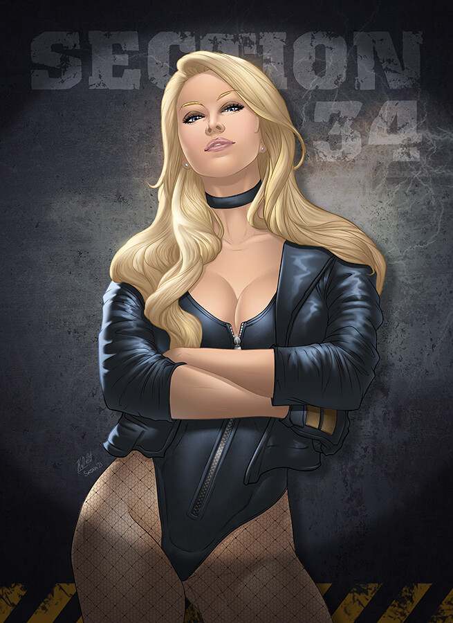 Natalie Portman Hentai Porn - Black Canary - Colors by Sean E. over Pencils by Kodiart : r/comicbooks