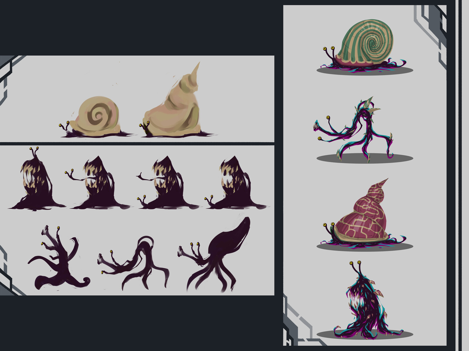 Shell/Mollusc