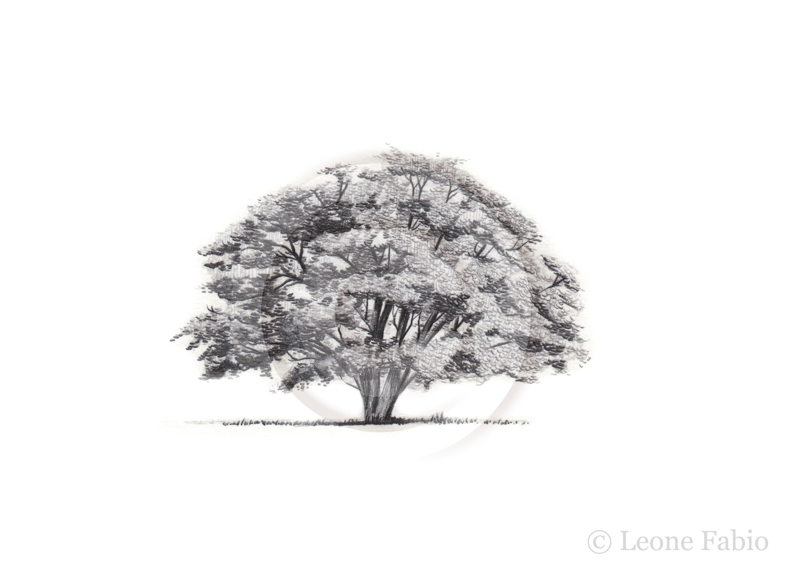 A pencil drawing commissioned for a RPG Game