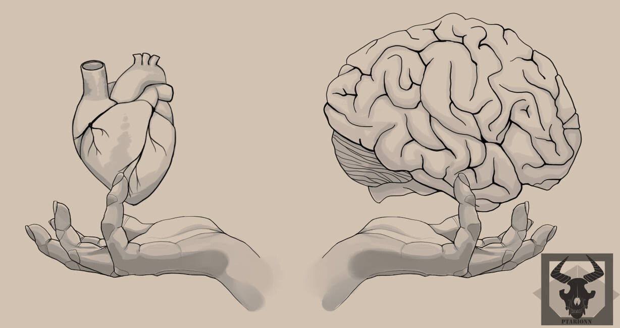 anatomical brain tattoo