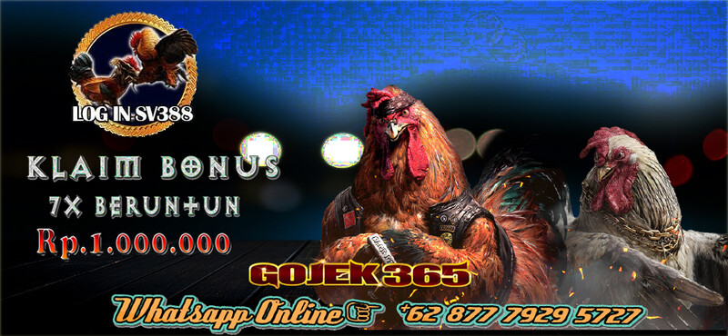 ArtStation - Live Sabung Ayam Sv388