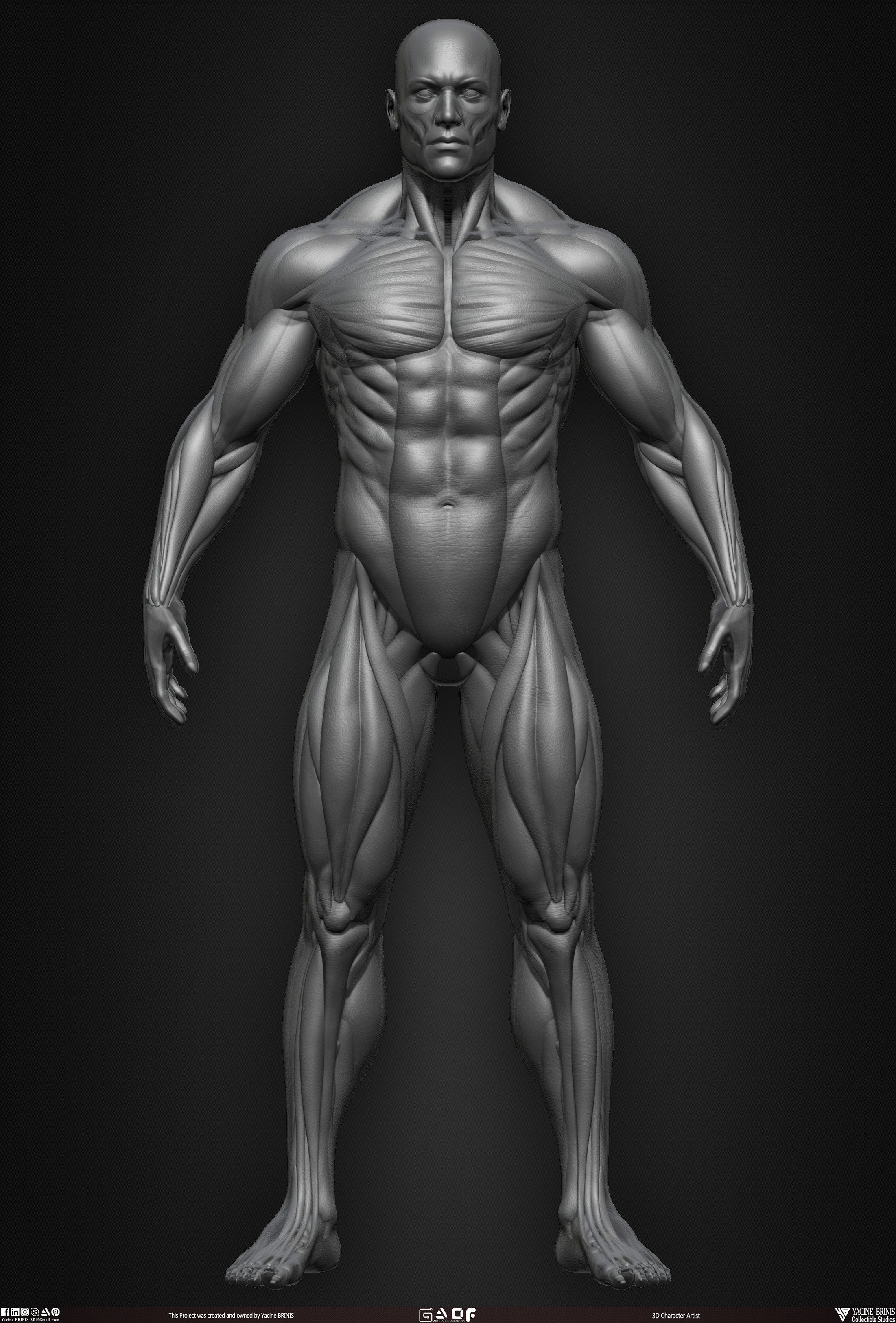 Male Human Muscles 3D Model sculpted by Yacine BRINIS 008