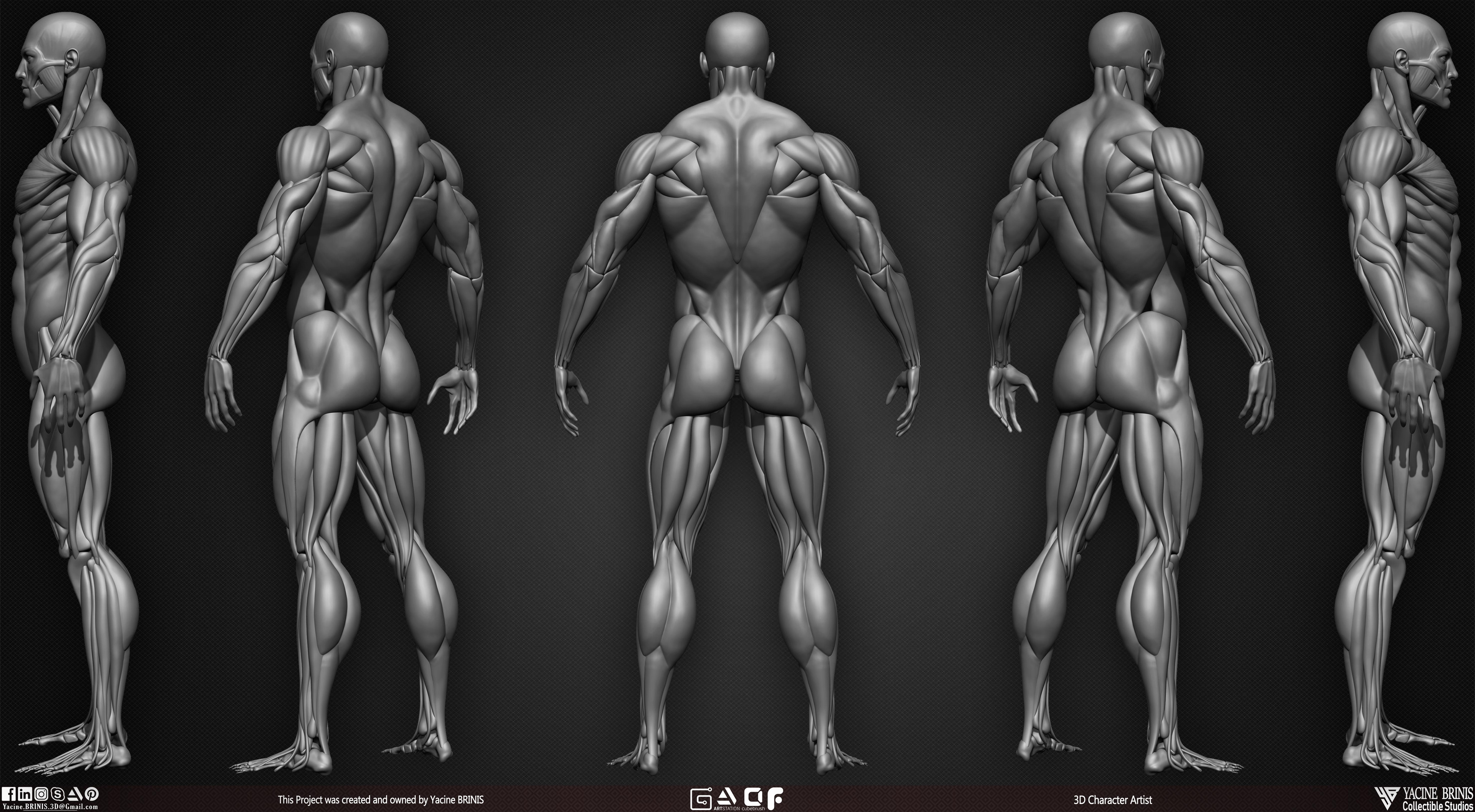 Male Human Muscles 3D Model sculpted by Yacine BRINIS 004