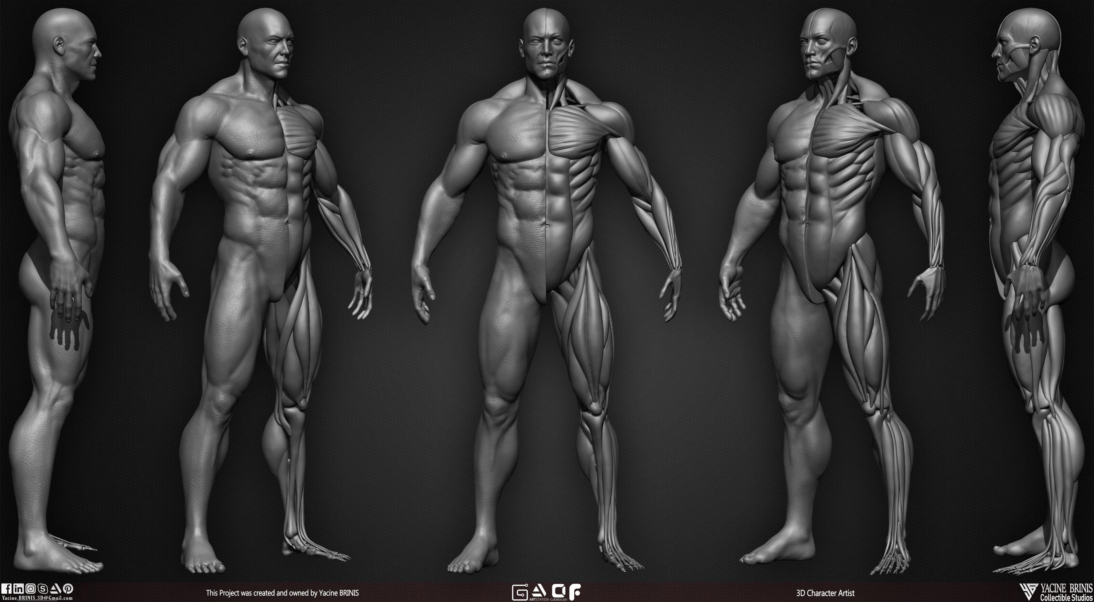 Male Human Muscles 3D Model sculpted by Yacine BRINIS 006