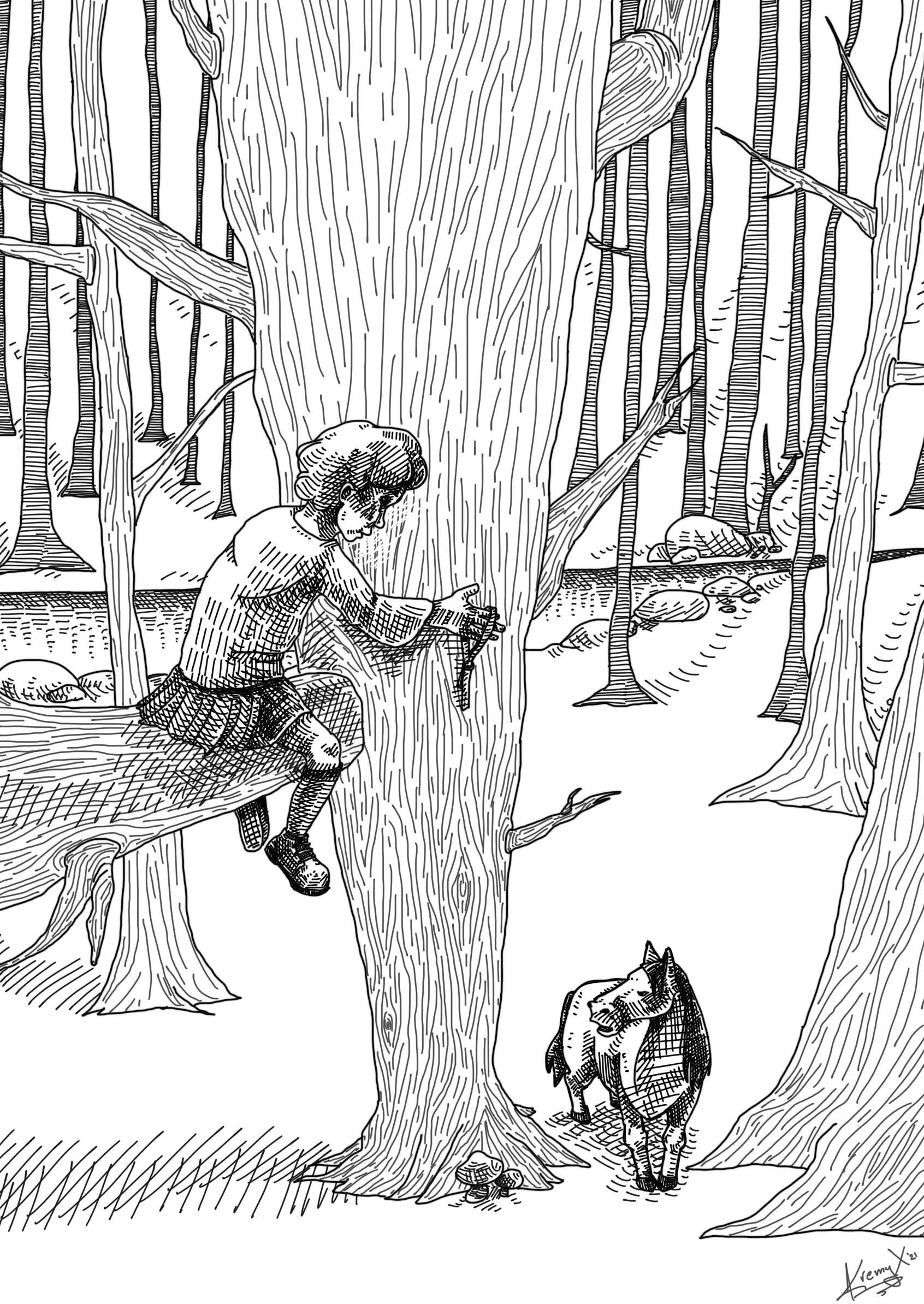 kremena-halcheva-angus-adventures-within-scottish-borders-book