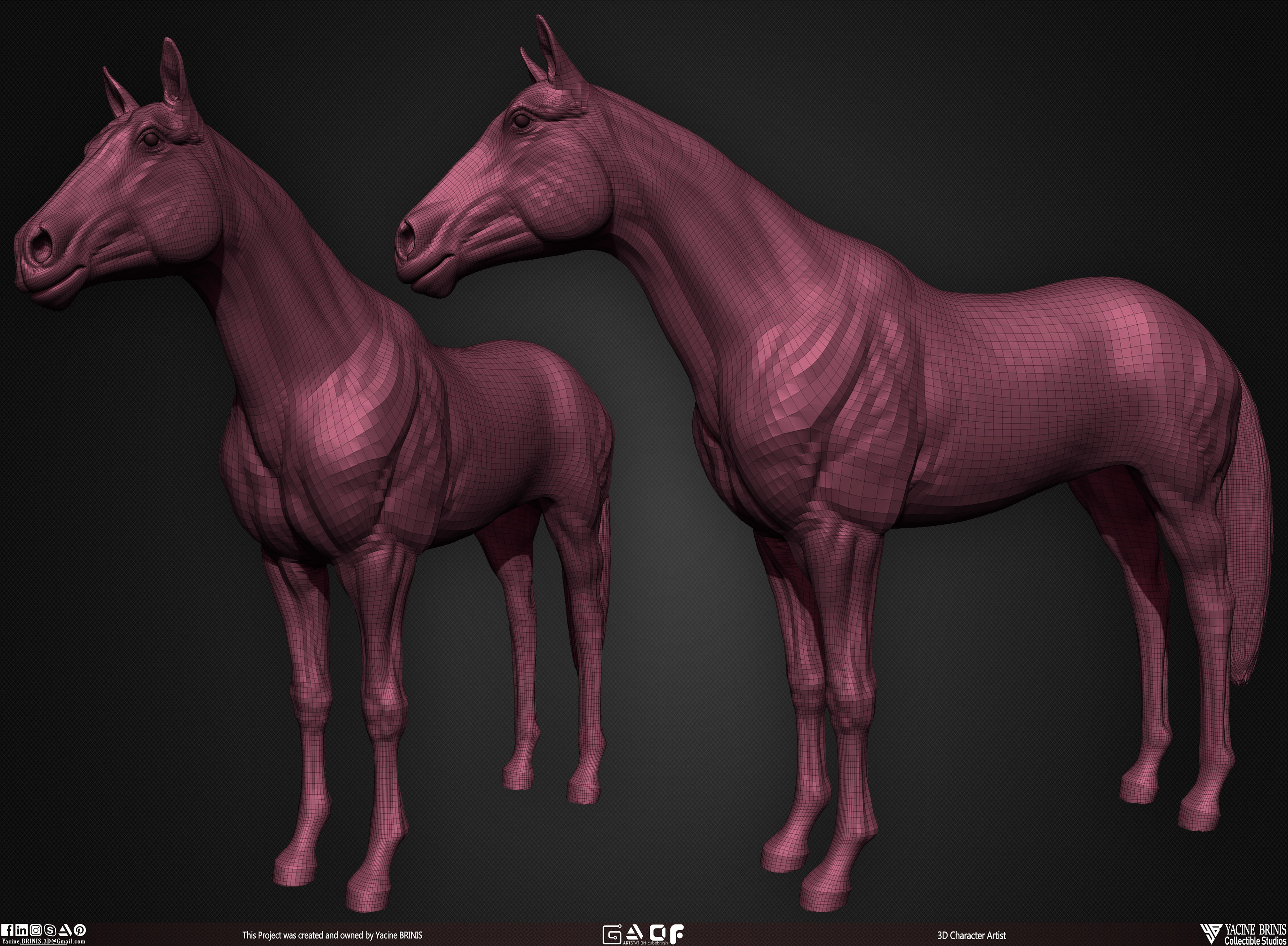 Horse anatomy Basemesh 3D Model sculpted by Yacine BRINIS 008