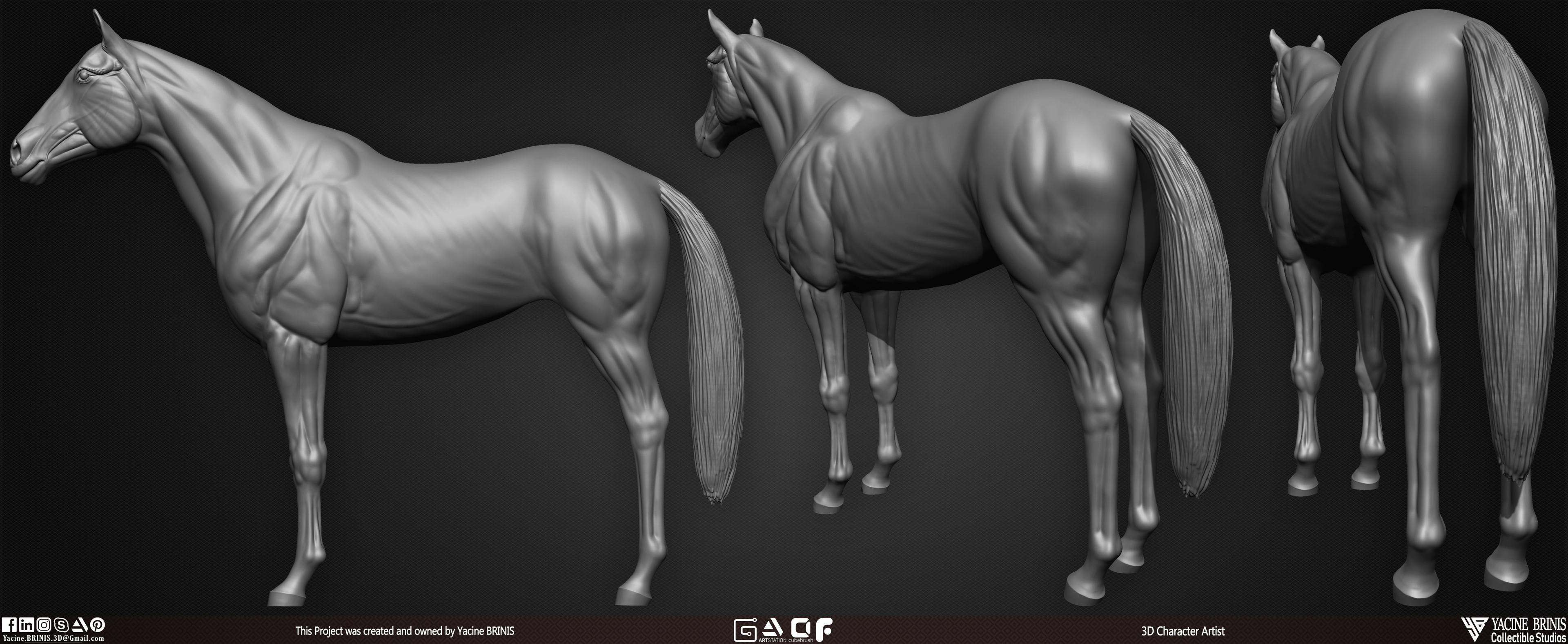 Horse anatomy Basemesh 3D Model sculpted by Yacine BRINIS 001
