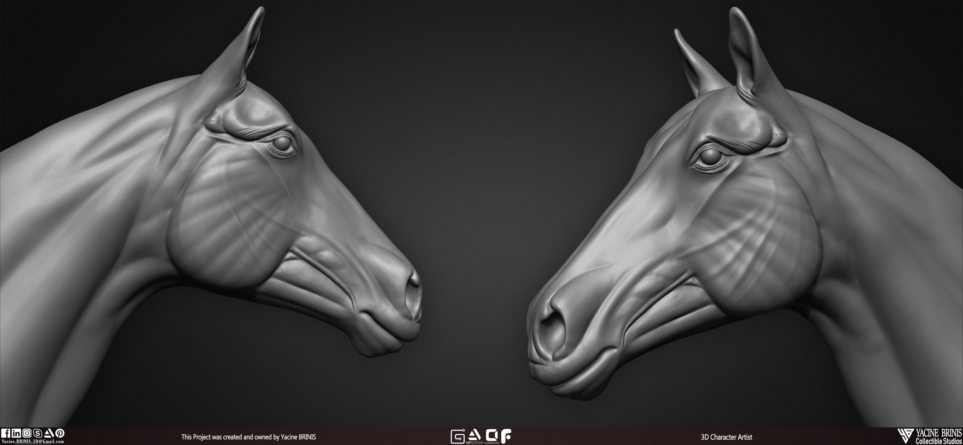 Horse anatomy Basemesh 3D Model sculpted by Yacine BRINIS 006