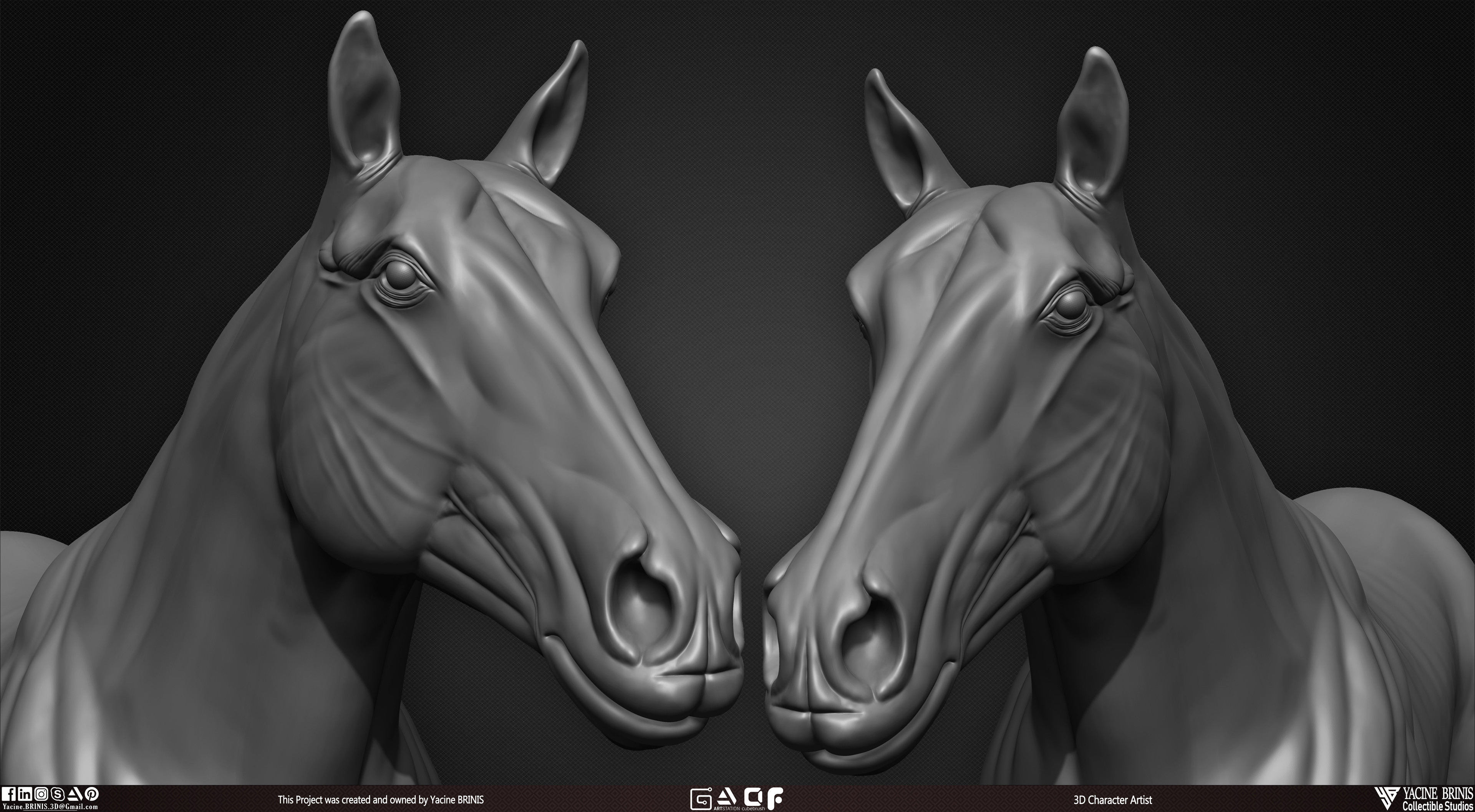 Horse anatomy Basemesh 3D Model sculpted by Yacine BRINIS 002