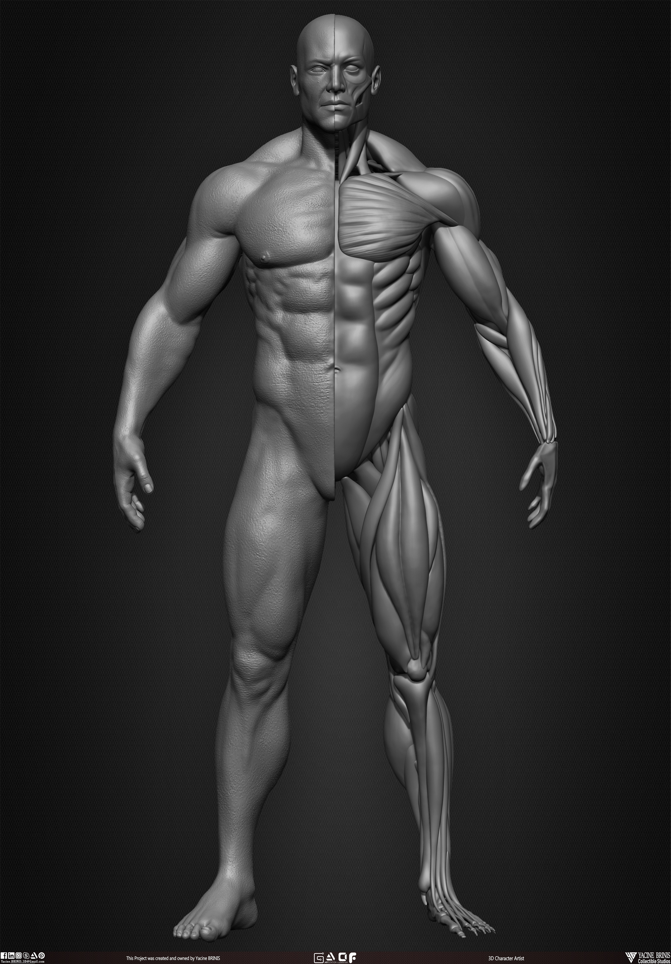 Male Human Muscles 3D Model sculpted by Yacine BRINIS 009