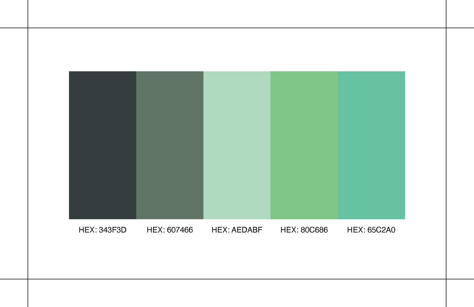 Matthew Ricci - Bruno Paradigm Brand Booklet