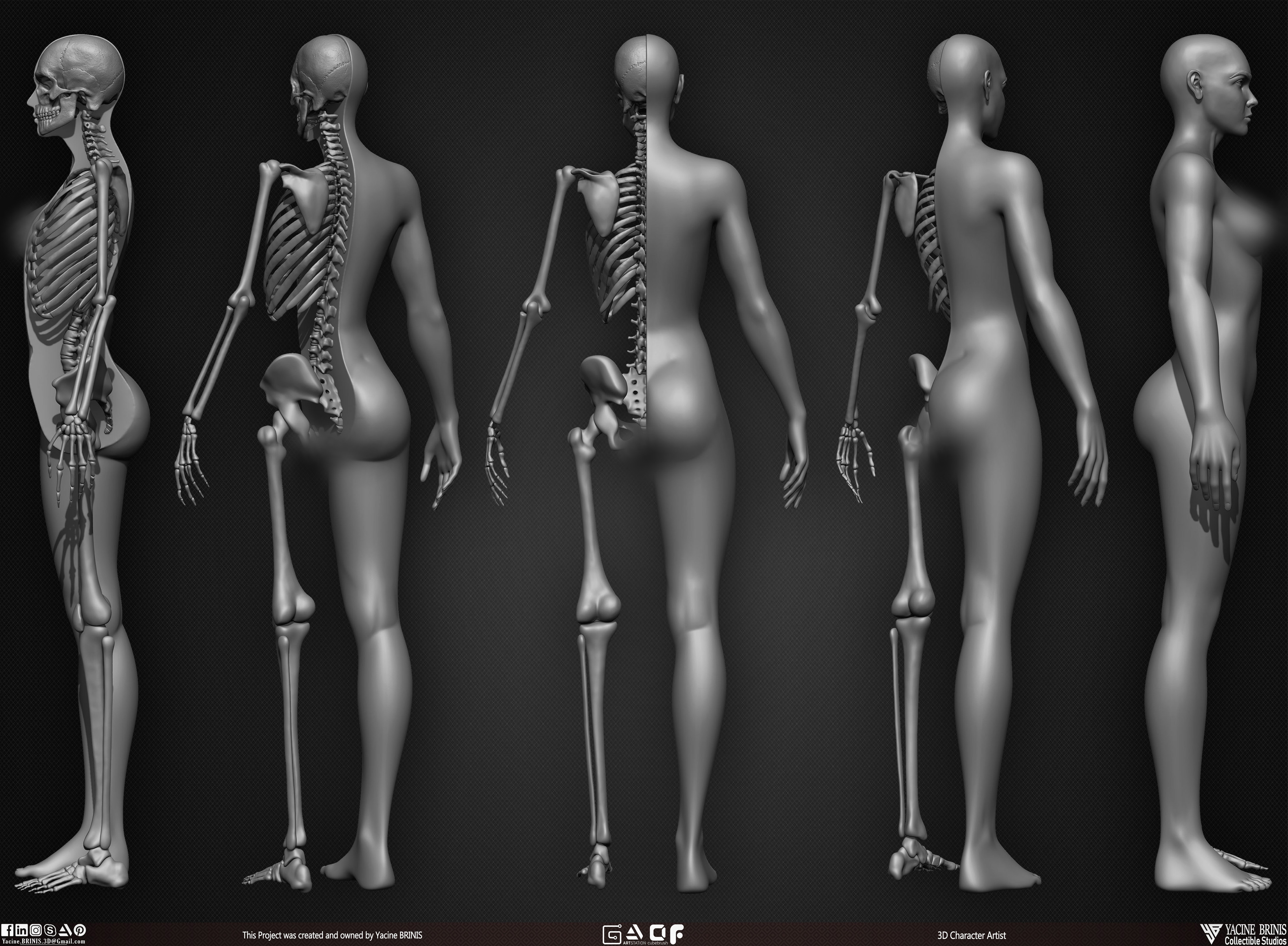 Female Human Skeleton 3D Model sculpted by Yacine BRINIS 005