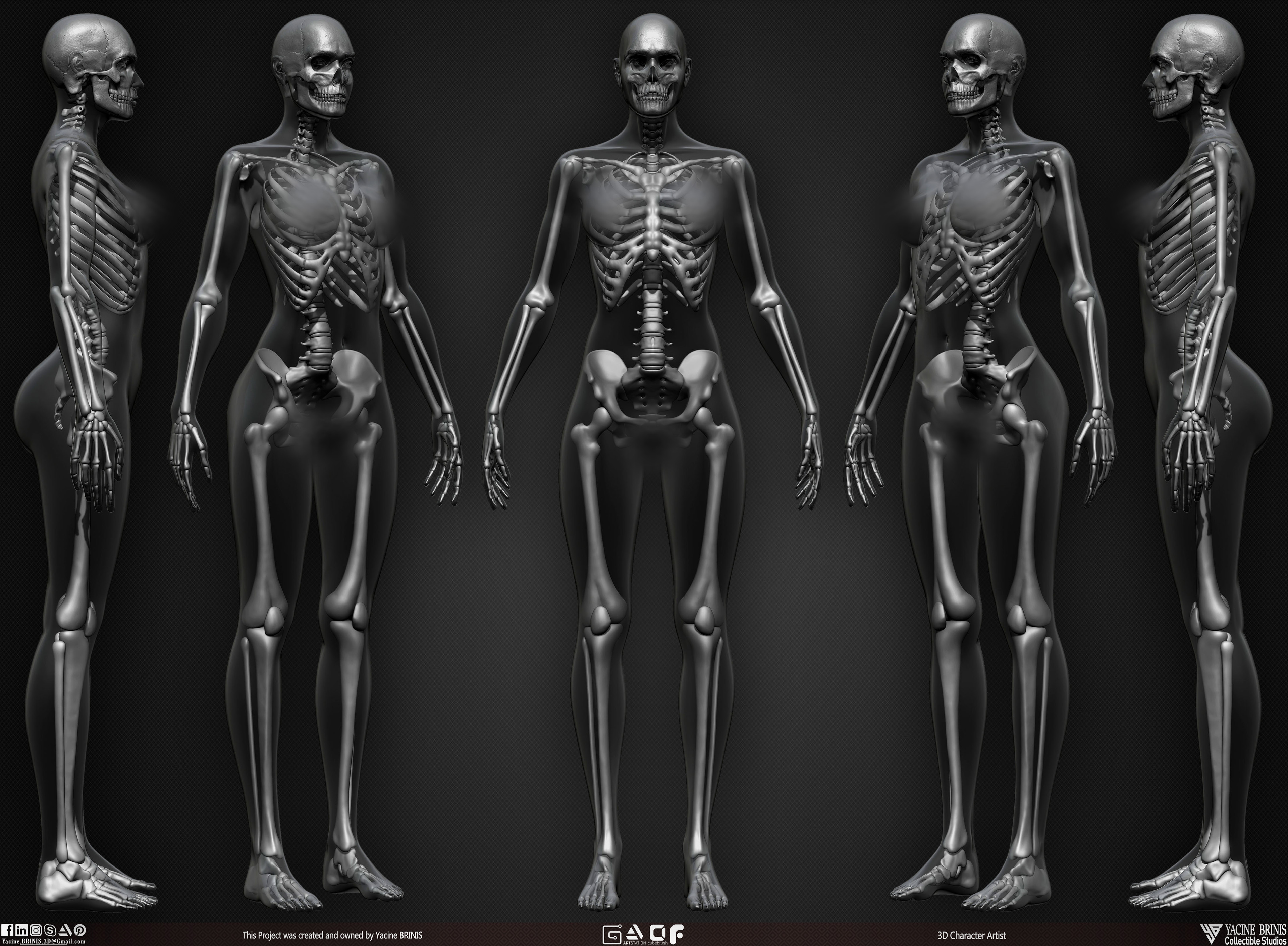 Female Human Skeleton 3D Model sculpted by Yacine BRINIS 008