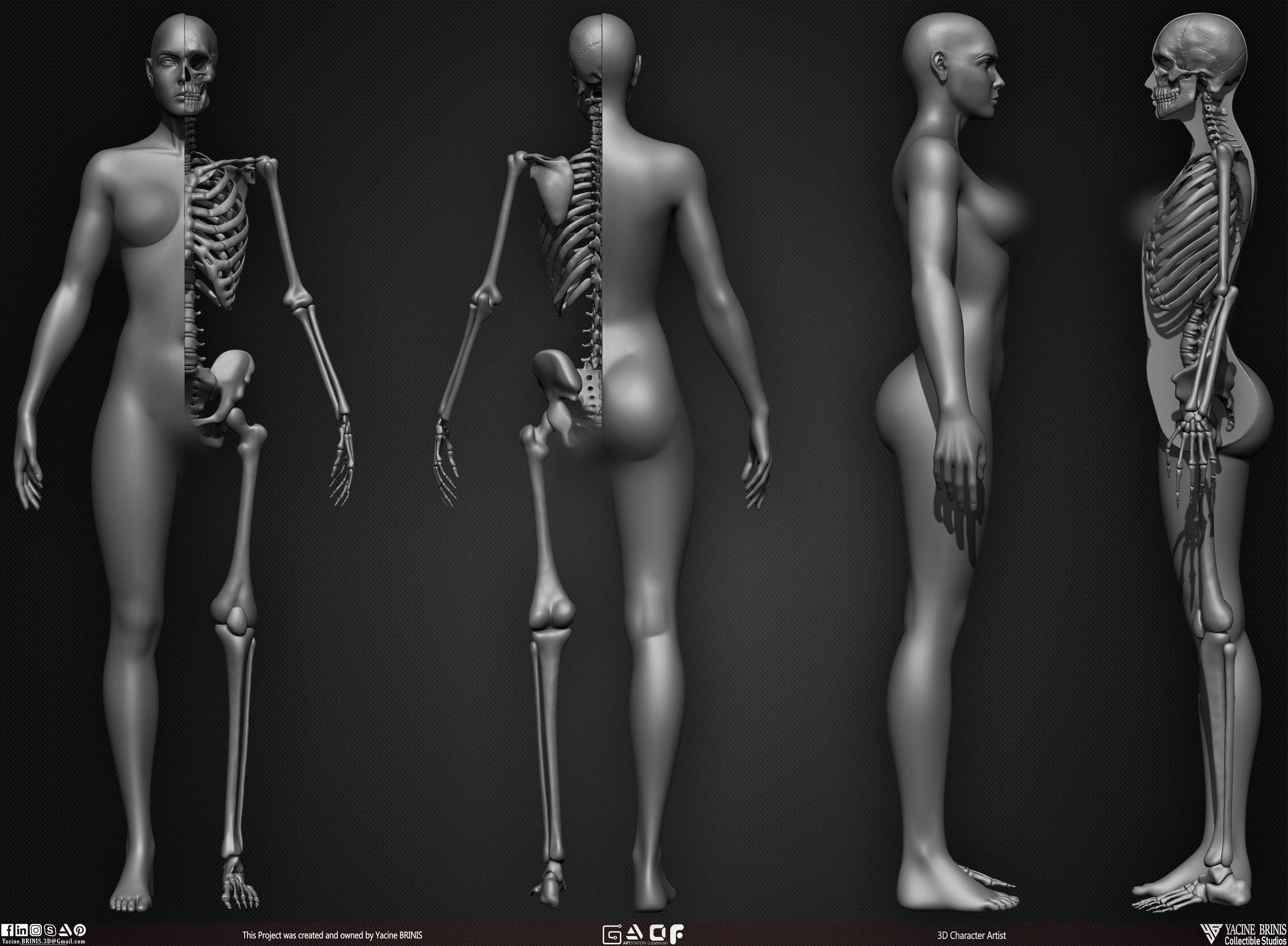 Female Human Skeleton 3D Model sculpted by Yacine BRINIS 004