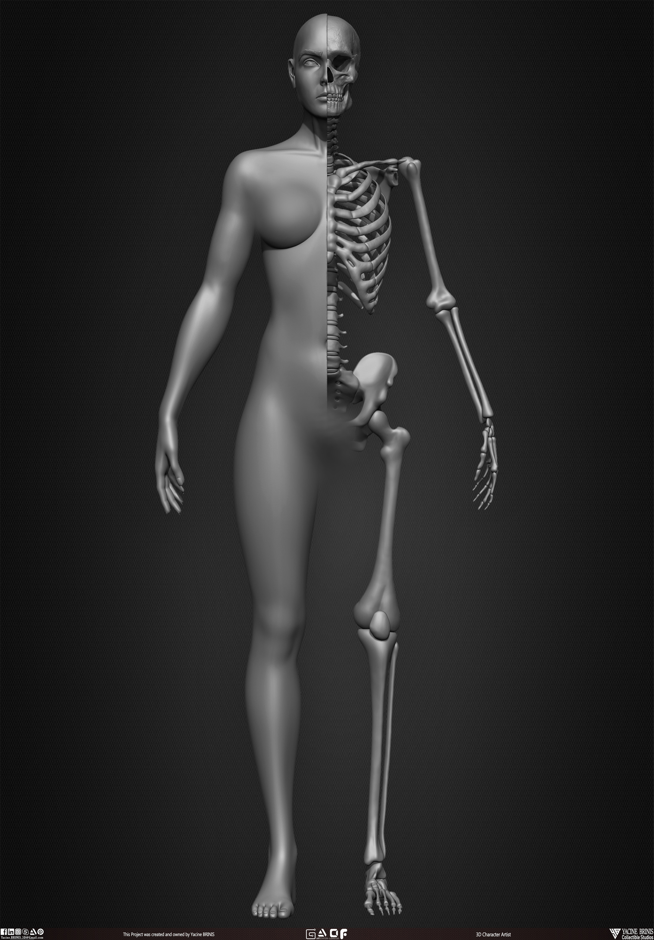 Female Human Skeleton 3D Model sculpted by Yacine BRINIS 011