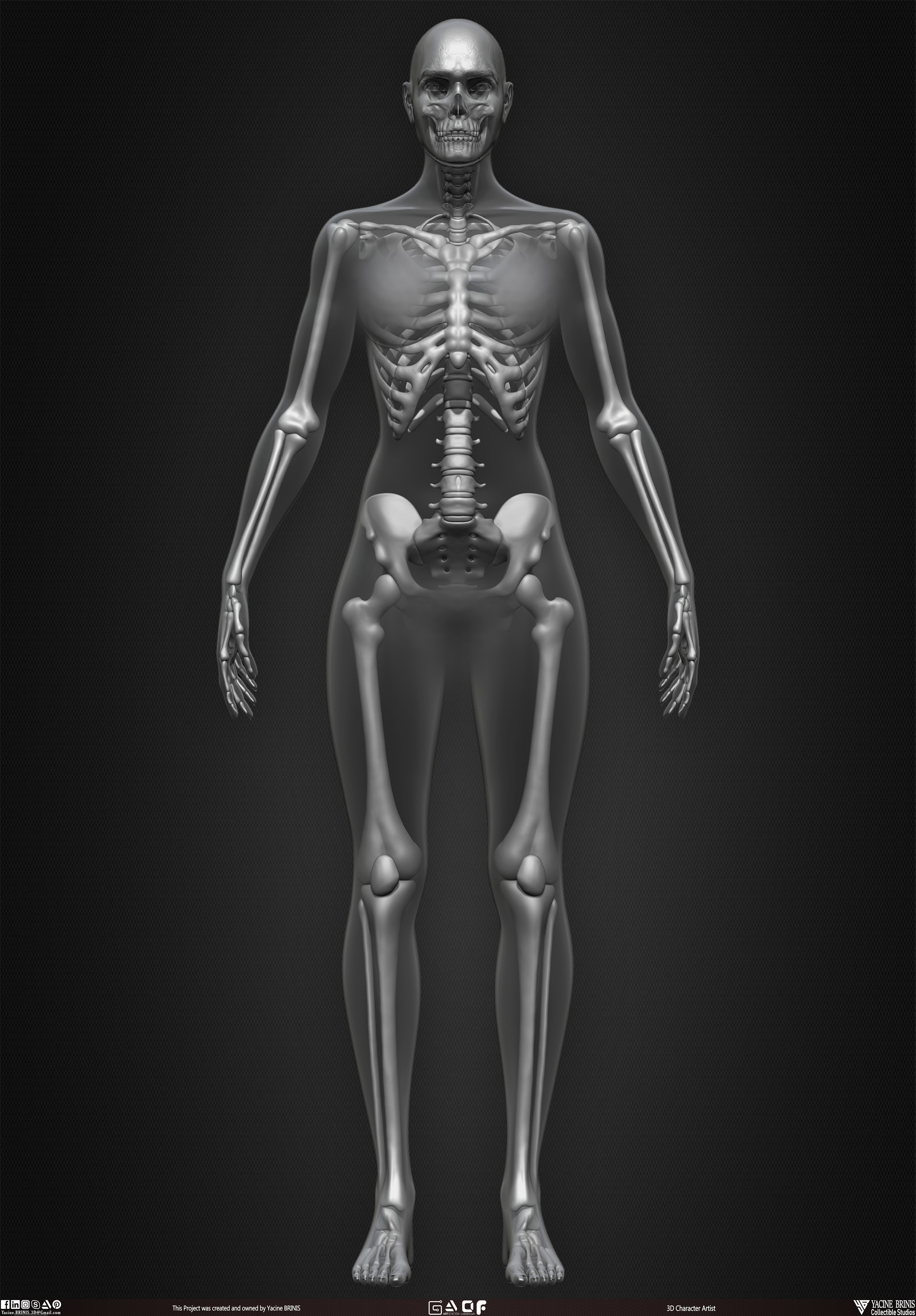 Female Human Skeleton 3D Model sculpted by Yacine BRINIS 014