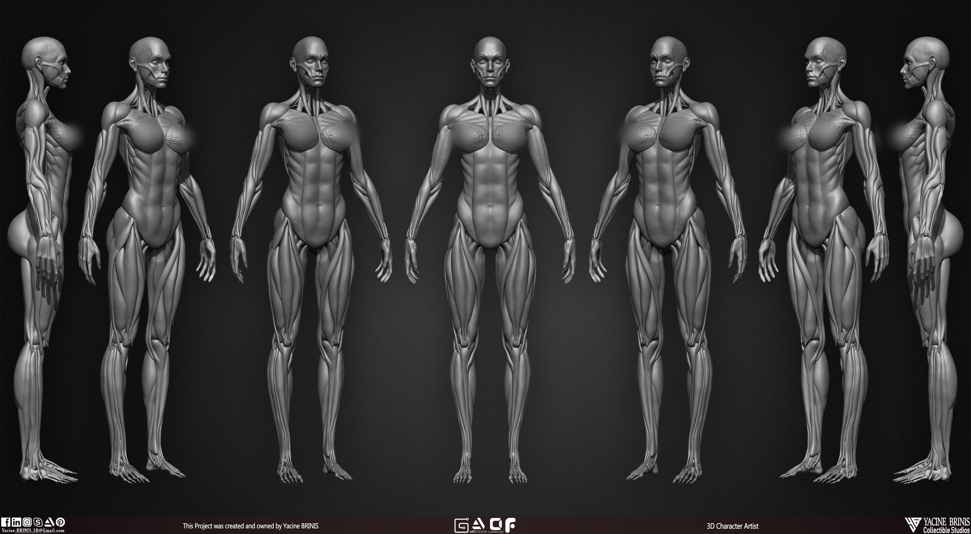 Female Human Muscles 3D Model sculpted by Yacine BRINIS 005