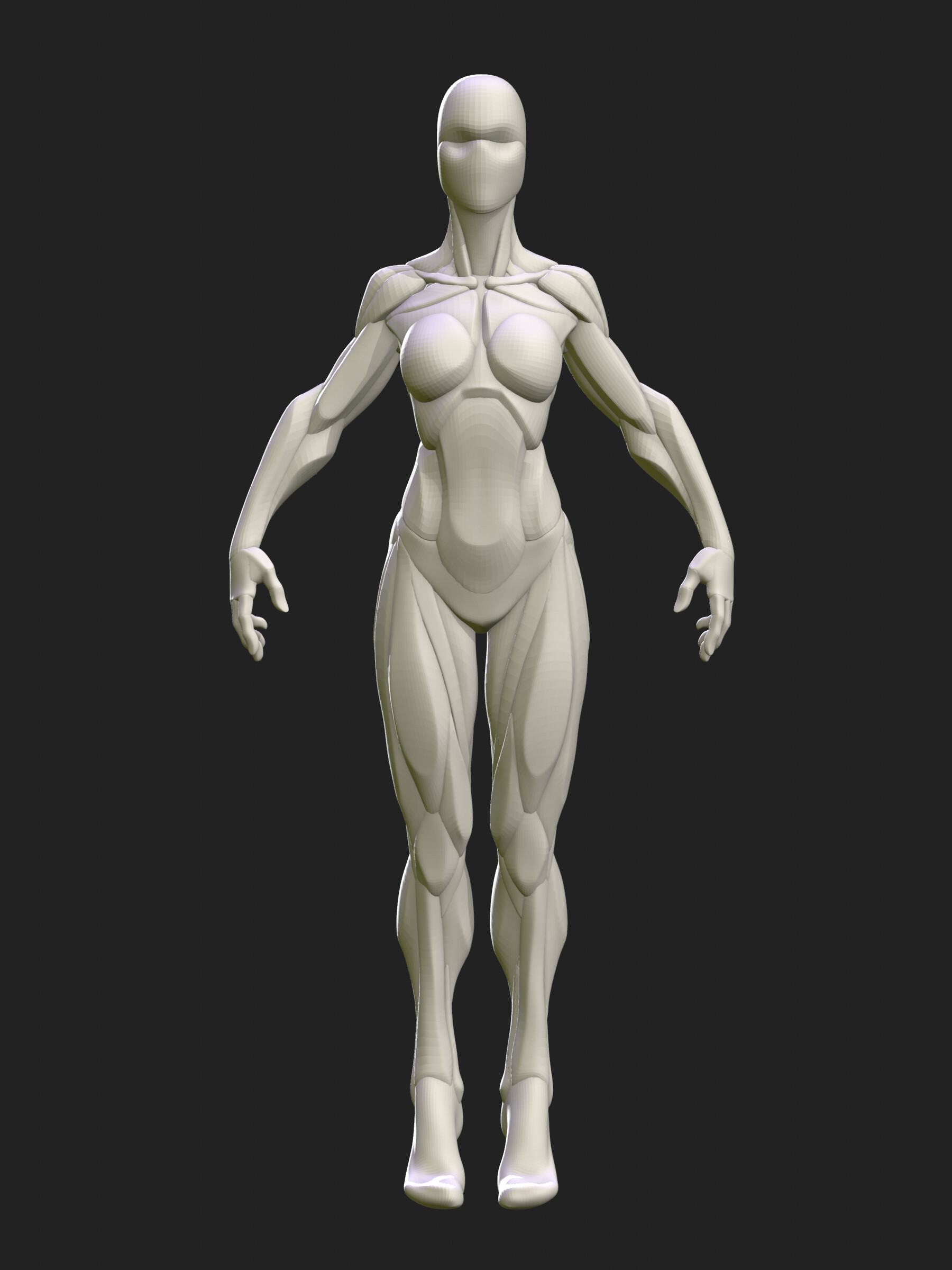Supreme Female Anatomy Model (FW18) - $46