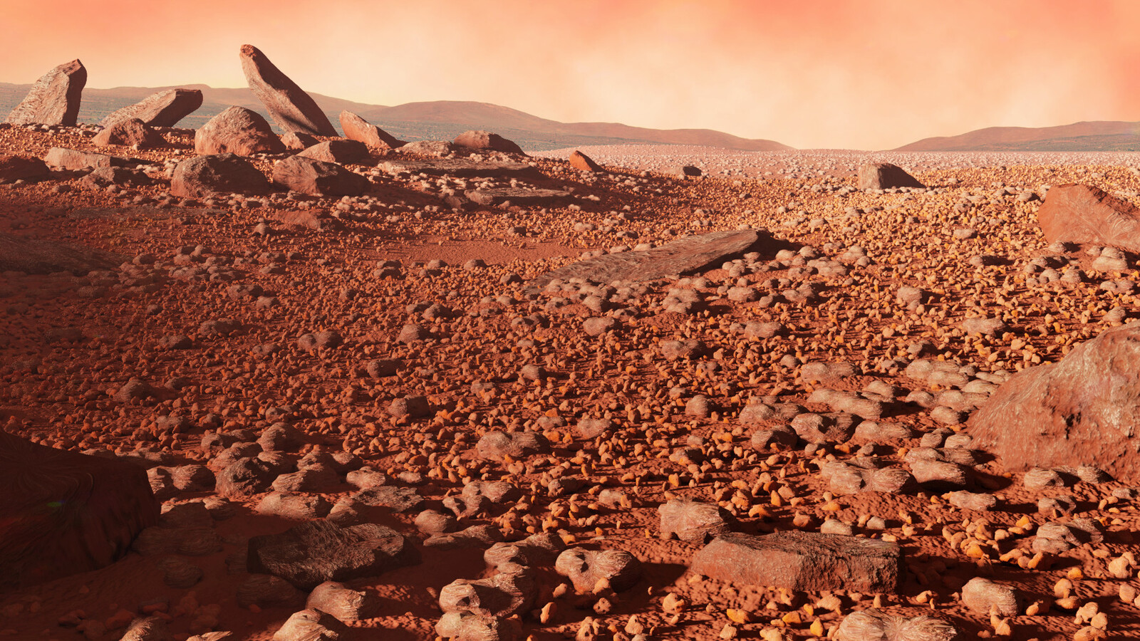 Mars Environment