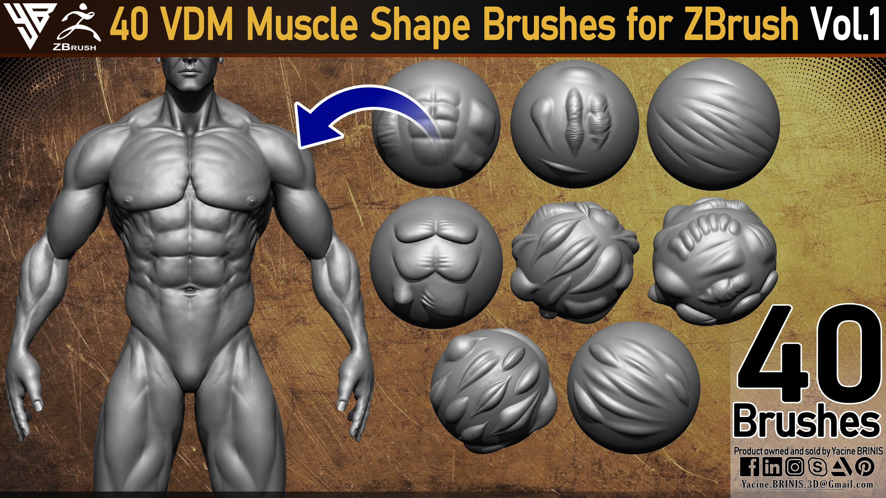 40 VDM Muscle Shape Brushes for ZBrush (By Yacine BRINIS) Set 001