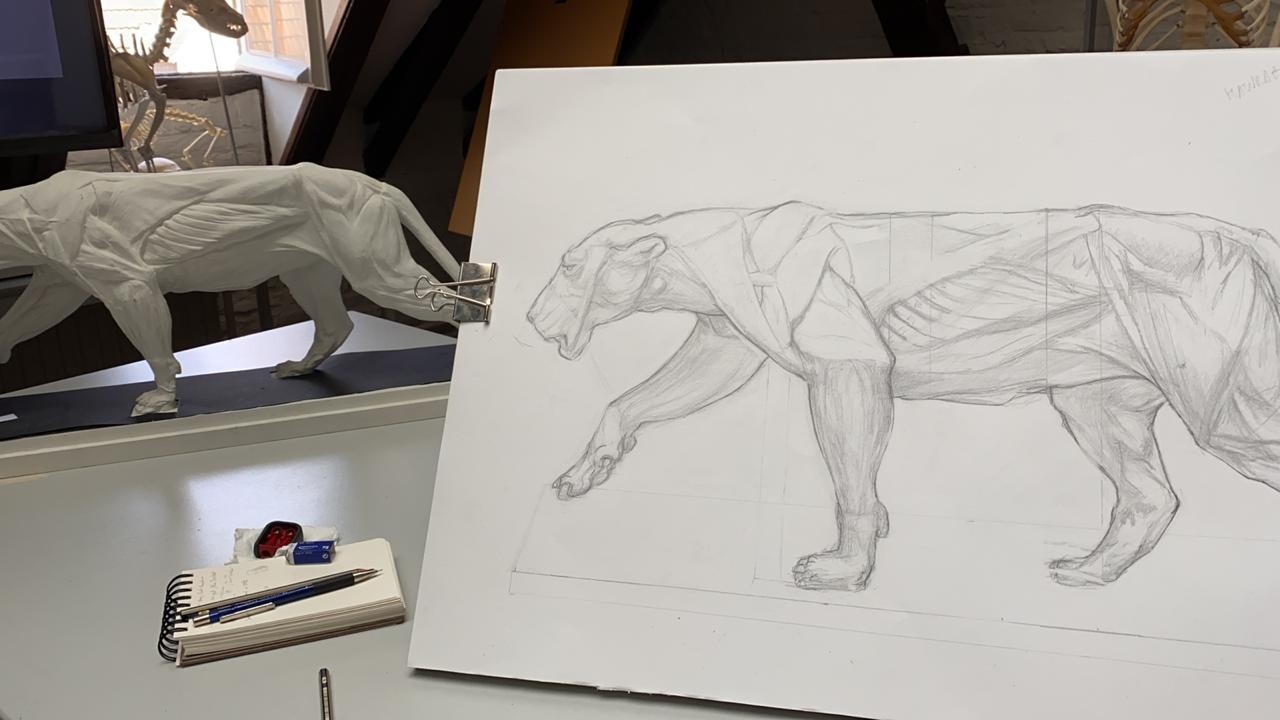 a photo of the lion in progress with the photo of the Echoche model used as a reference for this project