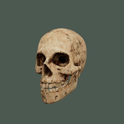 Sesash gutierrez skull 1 0020
