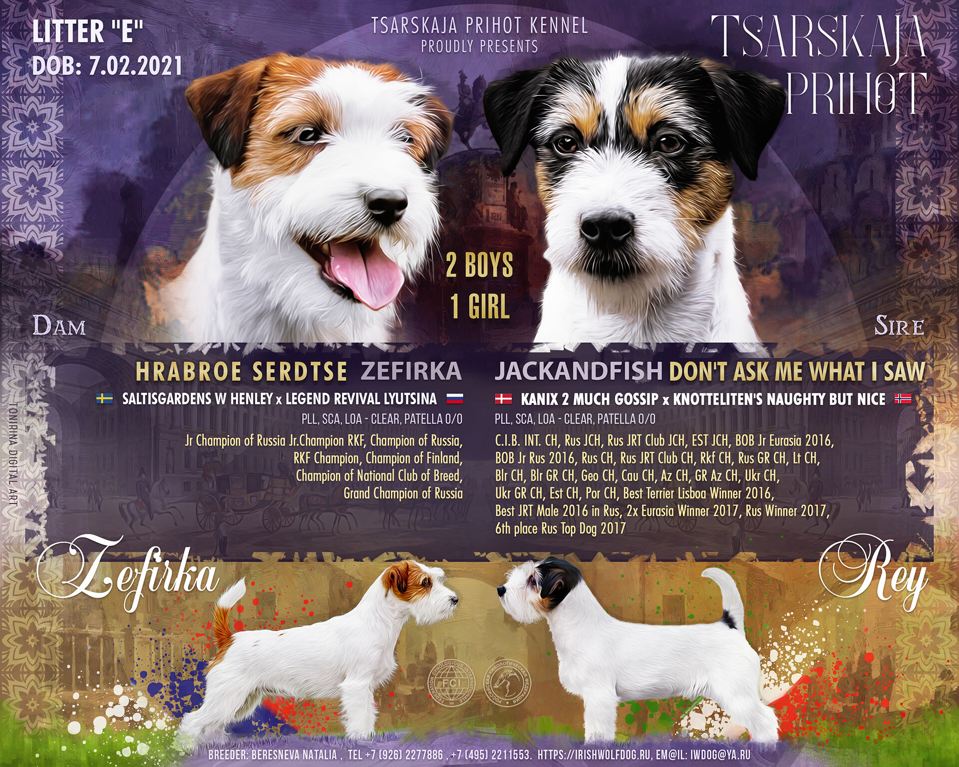 Jack Russell Terrier FCI Standard