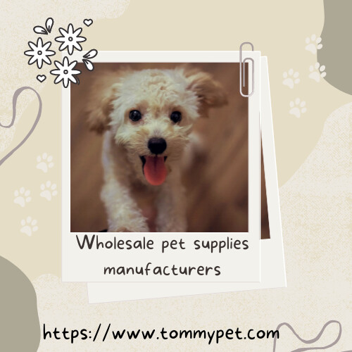 ArtStation - Wholesale pet supplies manufacturers