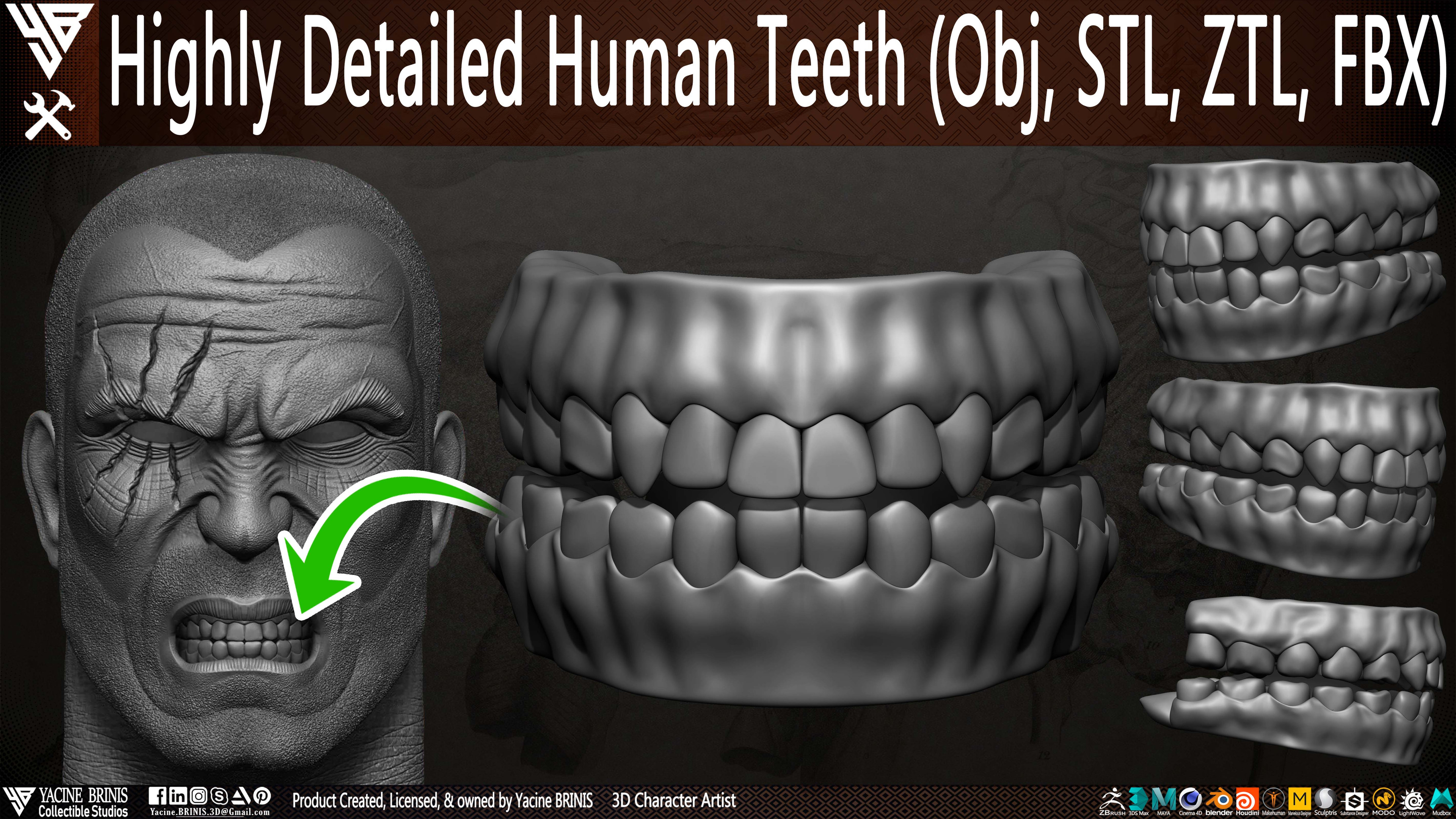 Highly Detailed Human Teeth sculpted by Yacine BRINIS 001