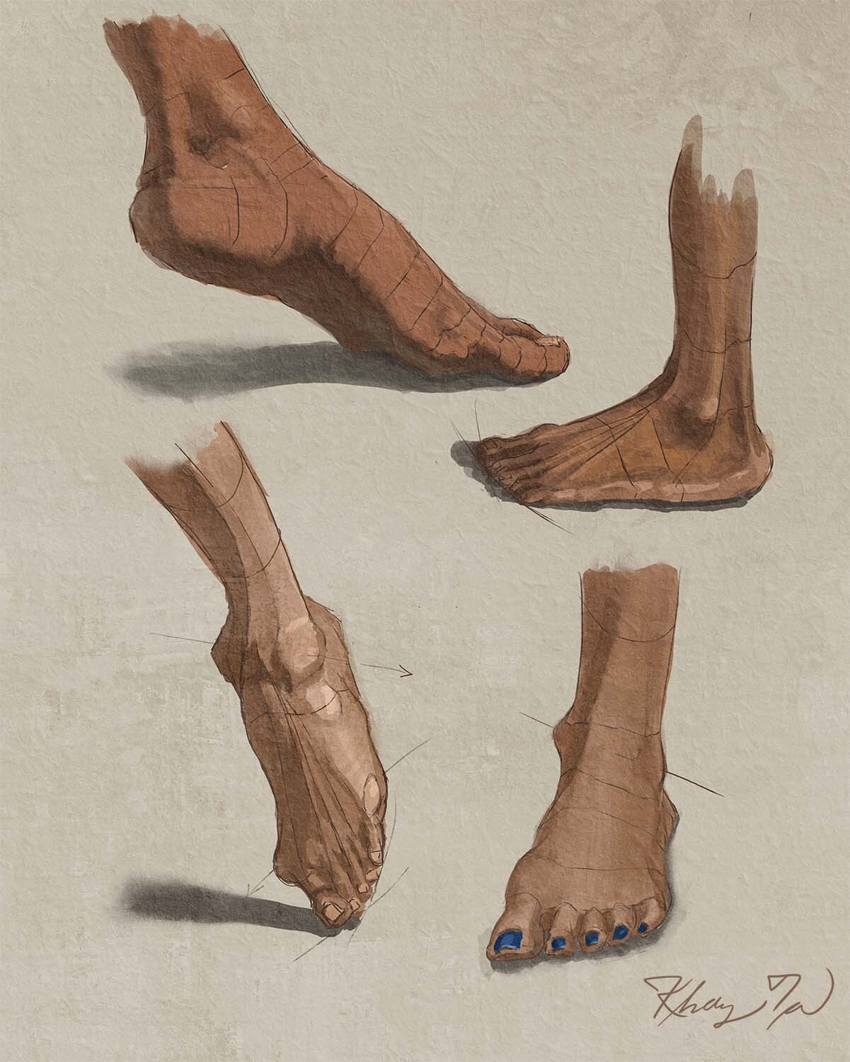 Week 1 Assignment - Human Anatomy with Rey Bustos
