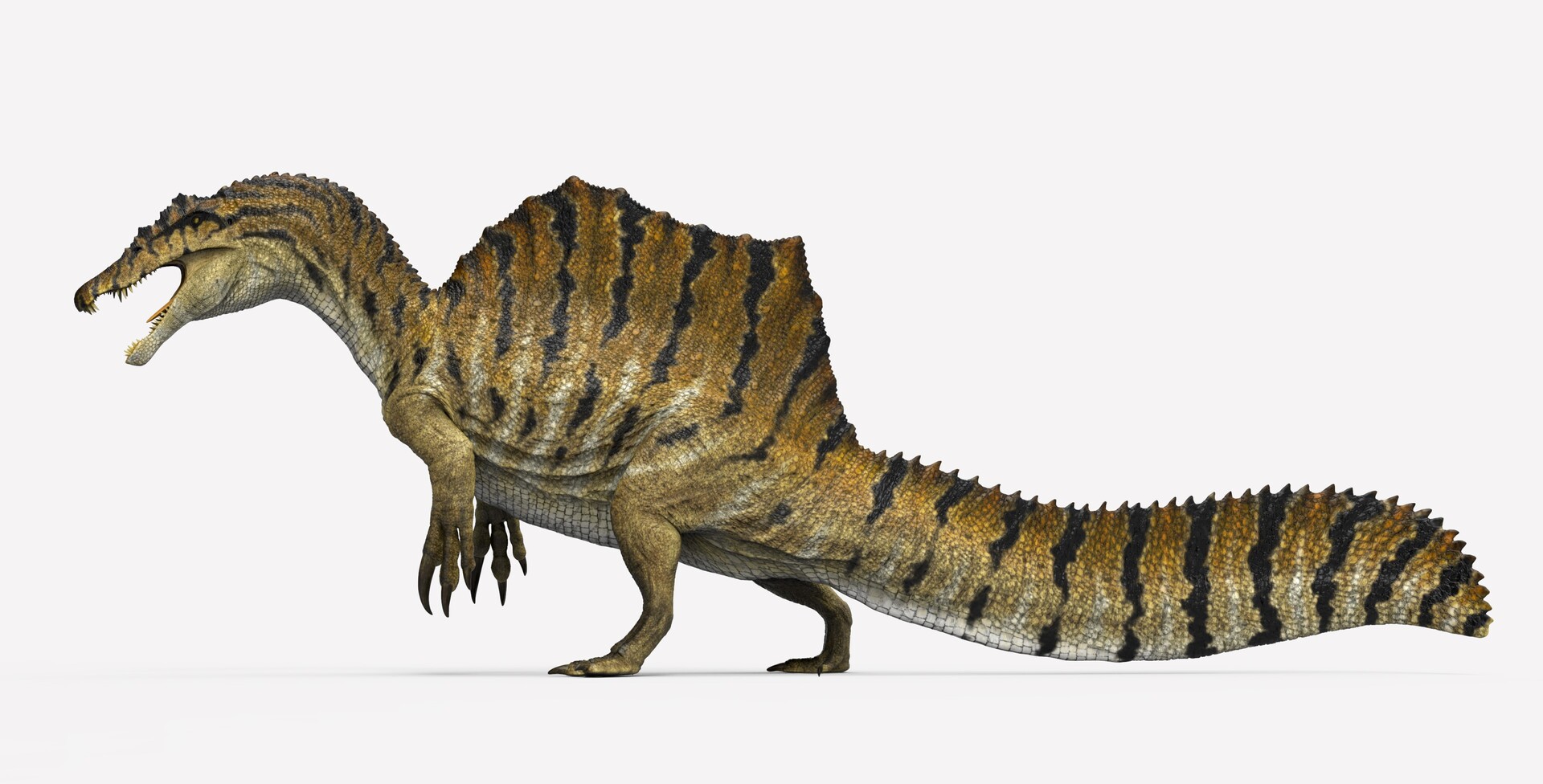 Spinosaurus Spino