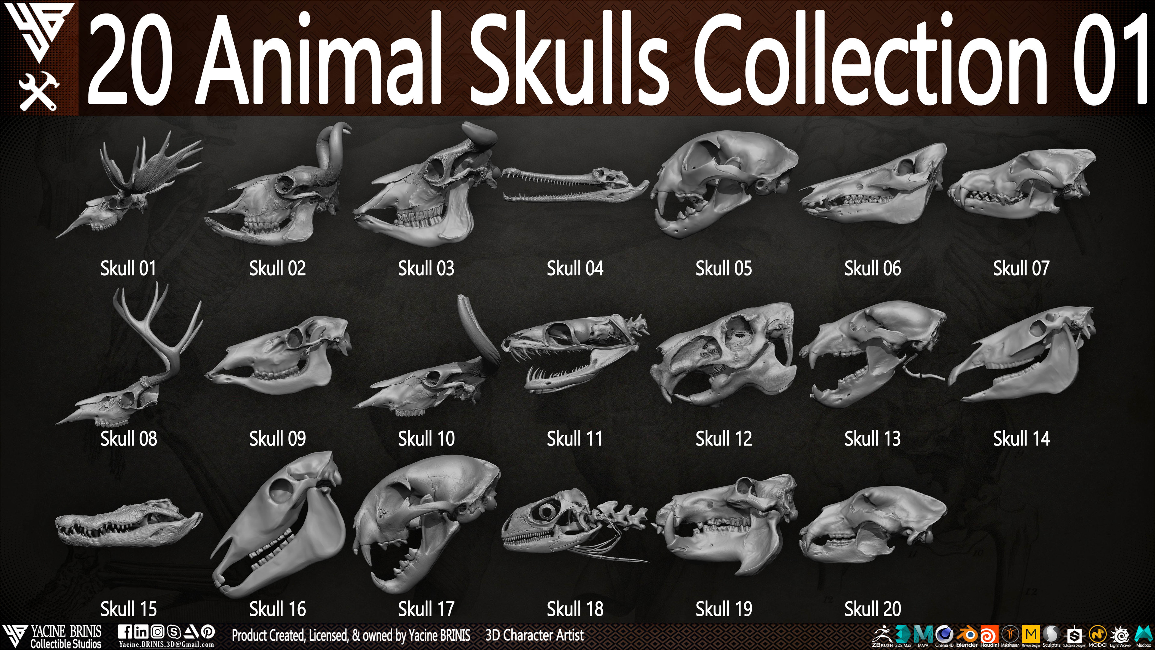 20 Animal Skulls Collection 03 By Yacine BRINIS Set 002