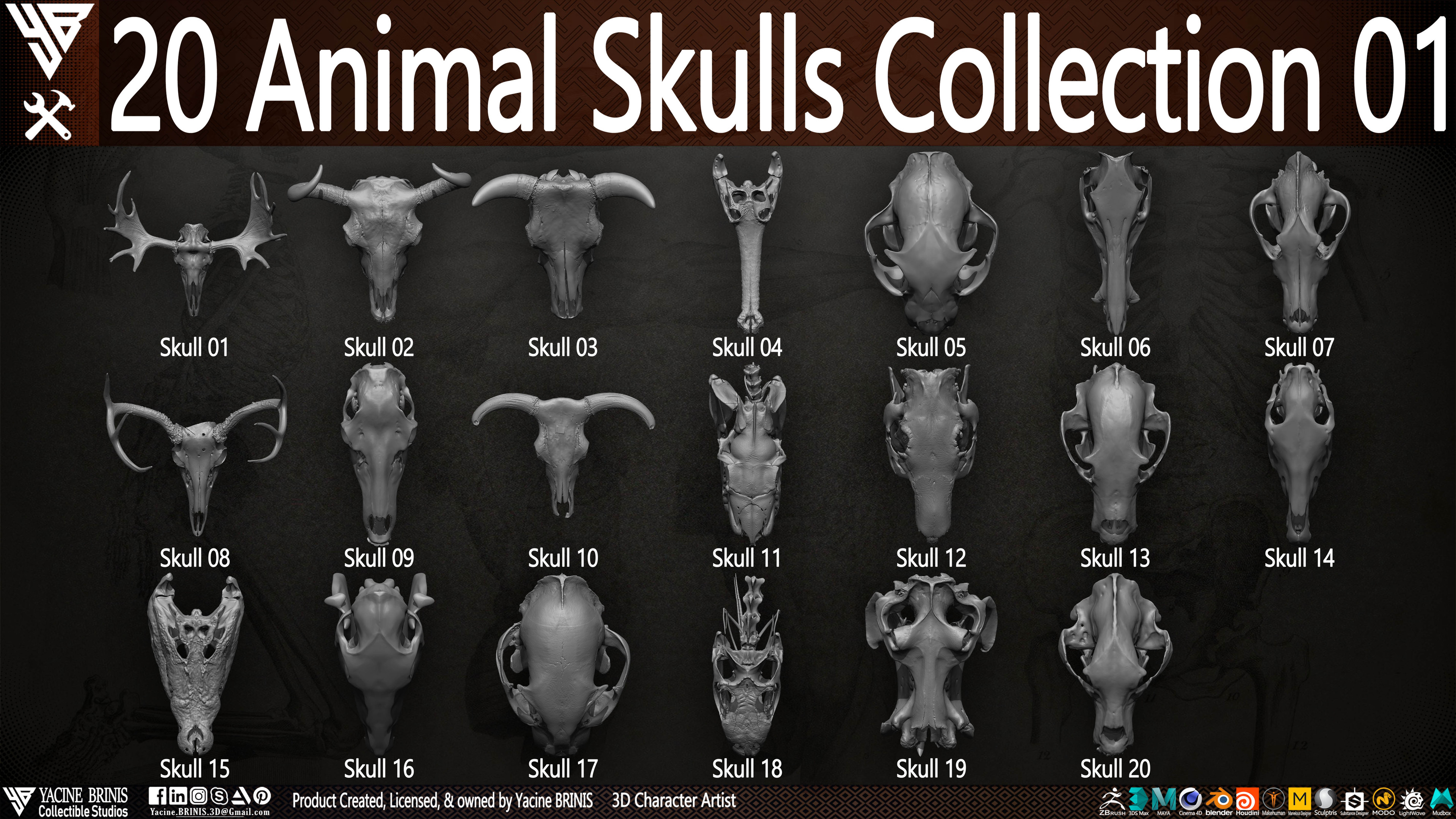 20 Animal Skulls Collection 03 By Yacine BRINIS Set 003