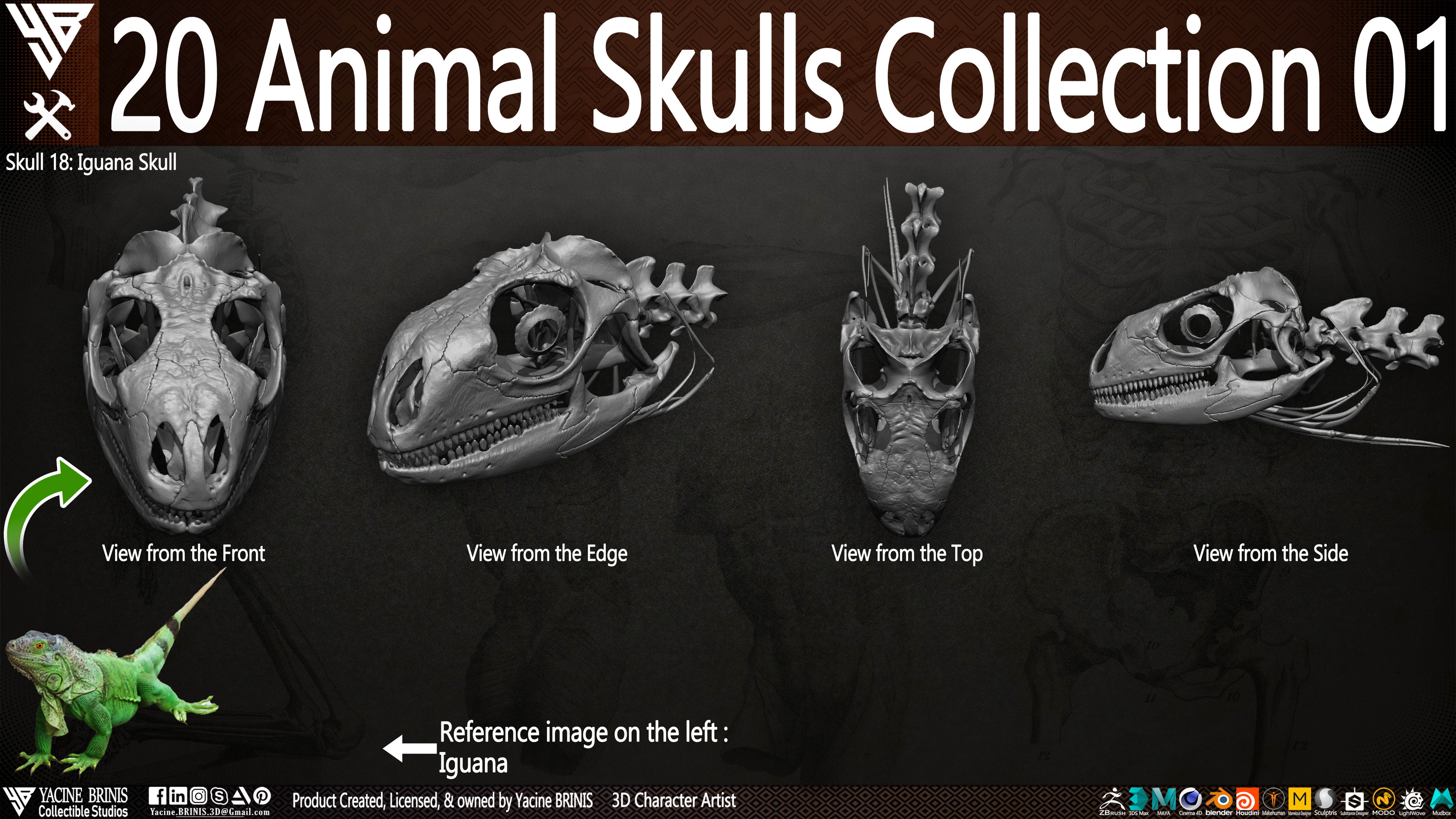 20 Animal Skulls Collection 03 By Yacine BRINIS Set 007