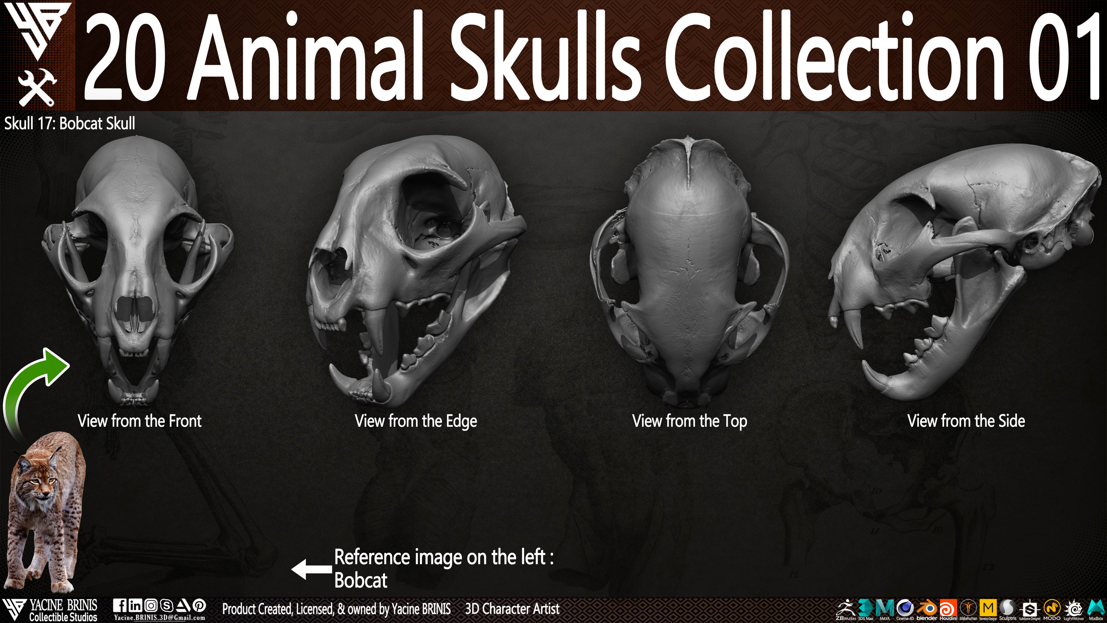 20 Animal Skulls Collection 03 By Yacine BRINIS Set 008