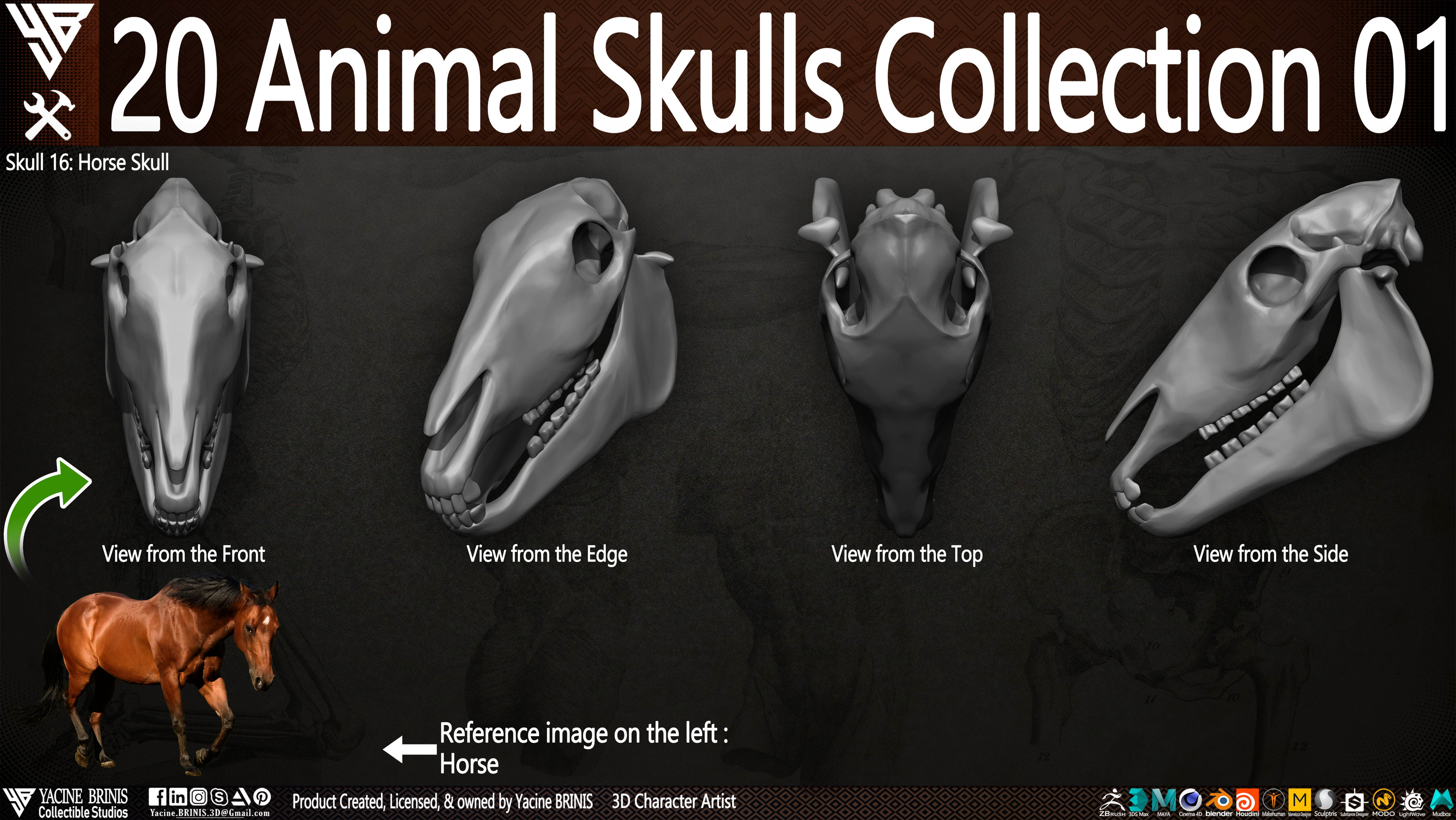 20 Animal Skulls Collection 03 By Yacine BRINIS Set 009