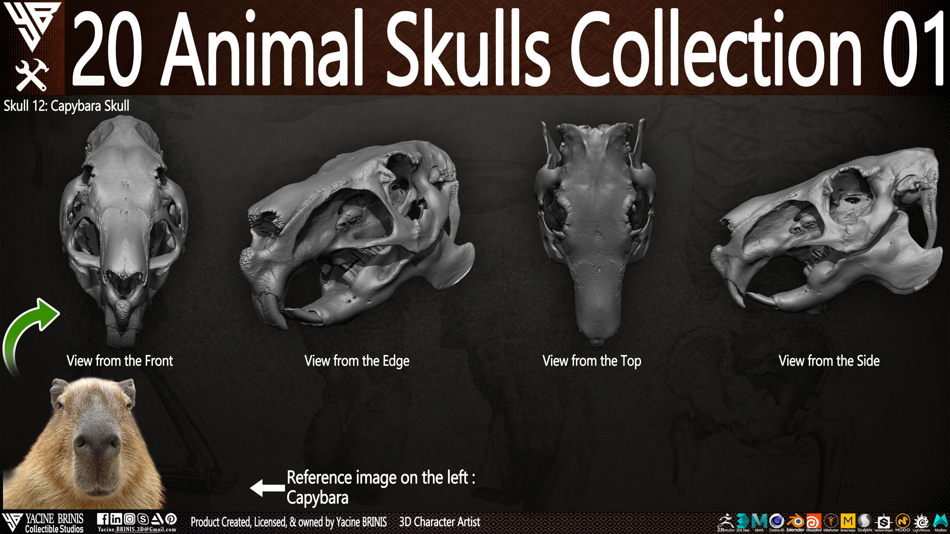 20 Animal Skulls Collection 03 By Yacine BRINIS Set 013