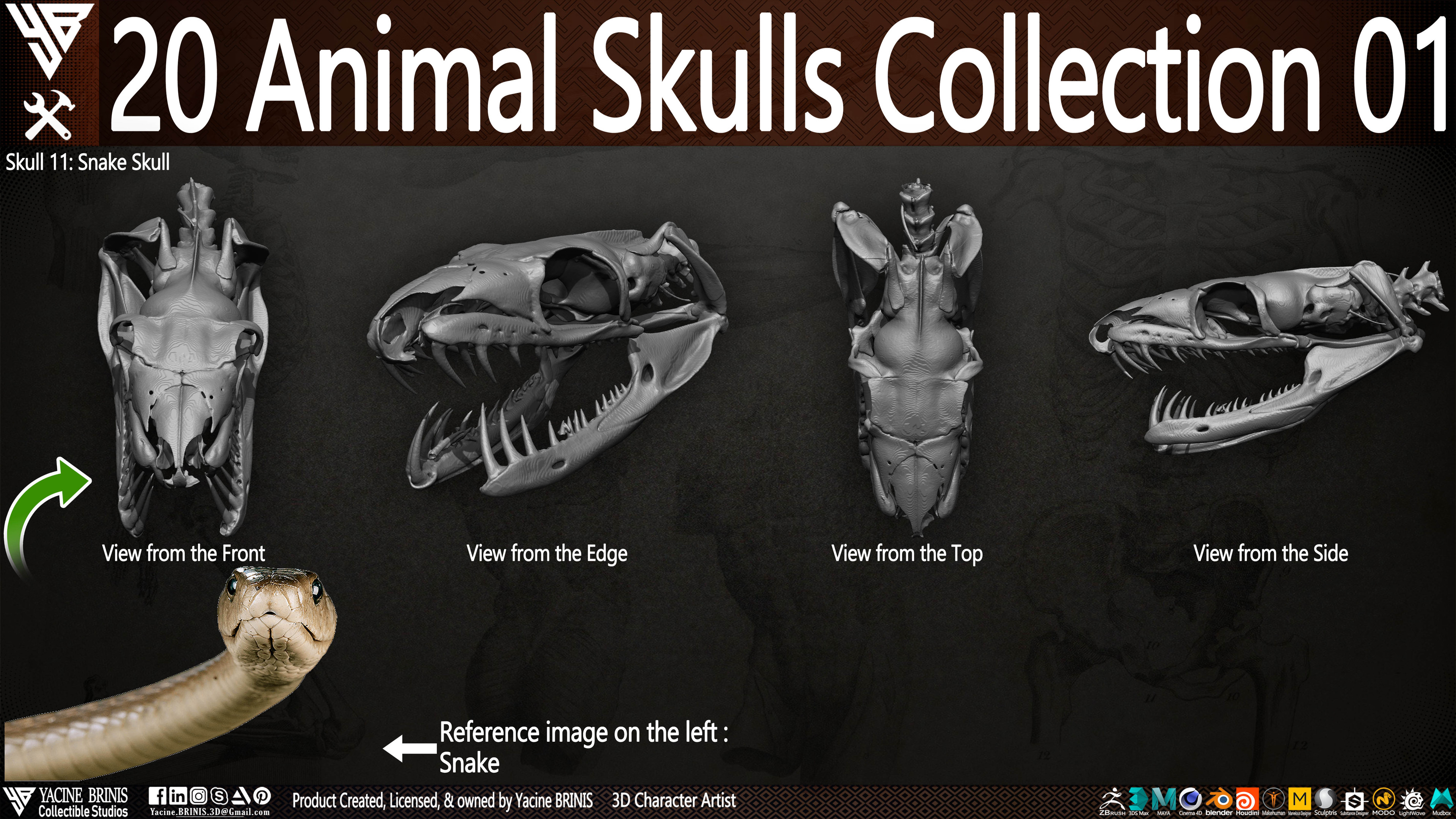 20 Animal Skulls Collection 03 By Yacine BRINIS Set 014