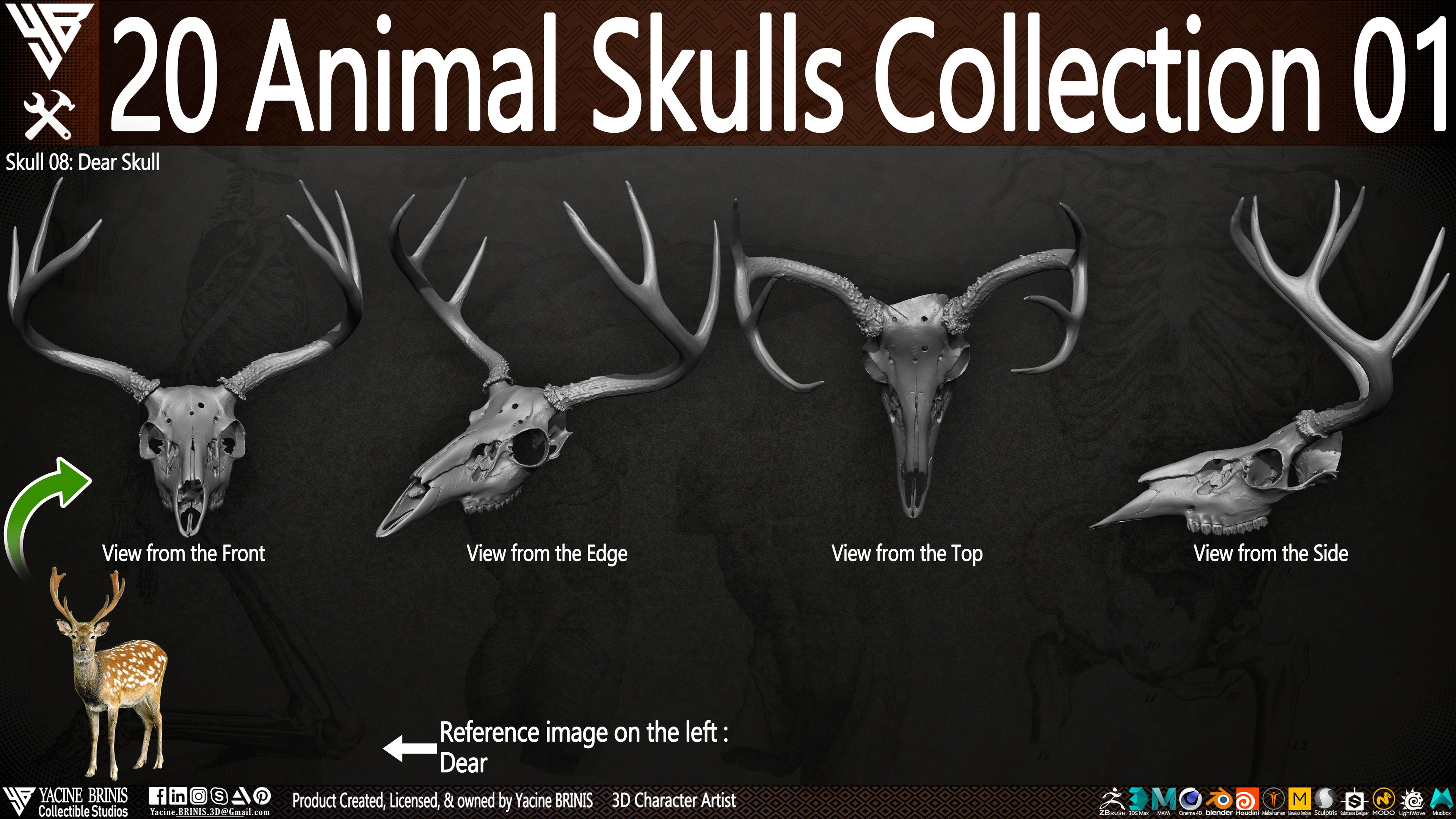 20 Animal Skulls Collection 03 By Yacine BRINIS Set 017