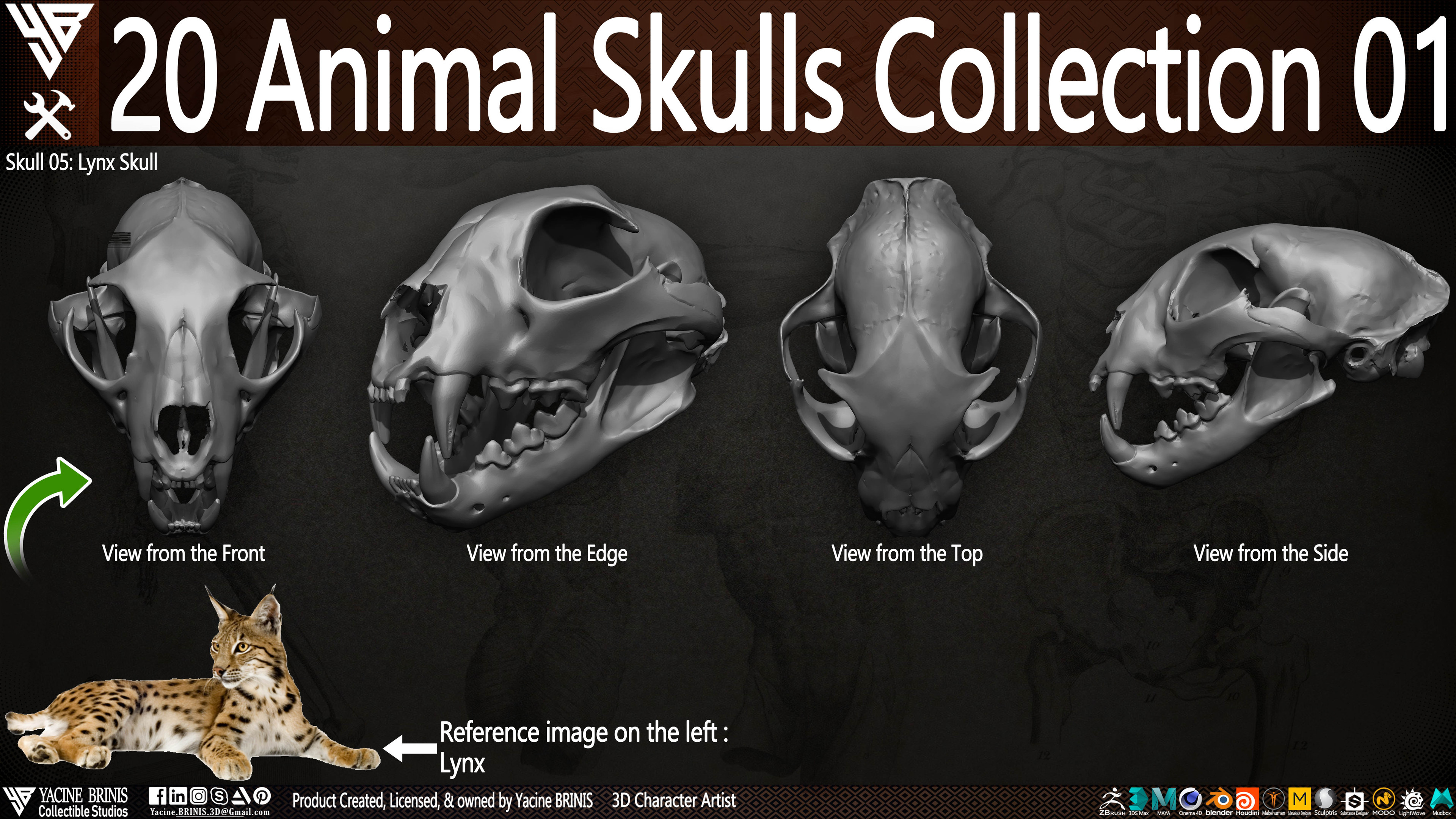 20 Animal Skulls Collection 03 By Yacine BRINIS Set 020