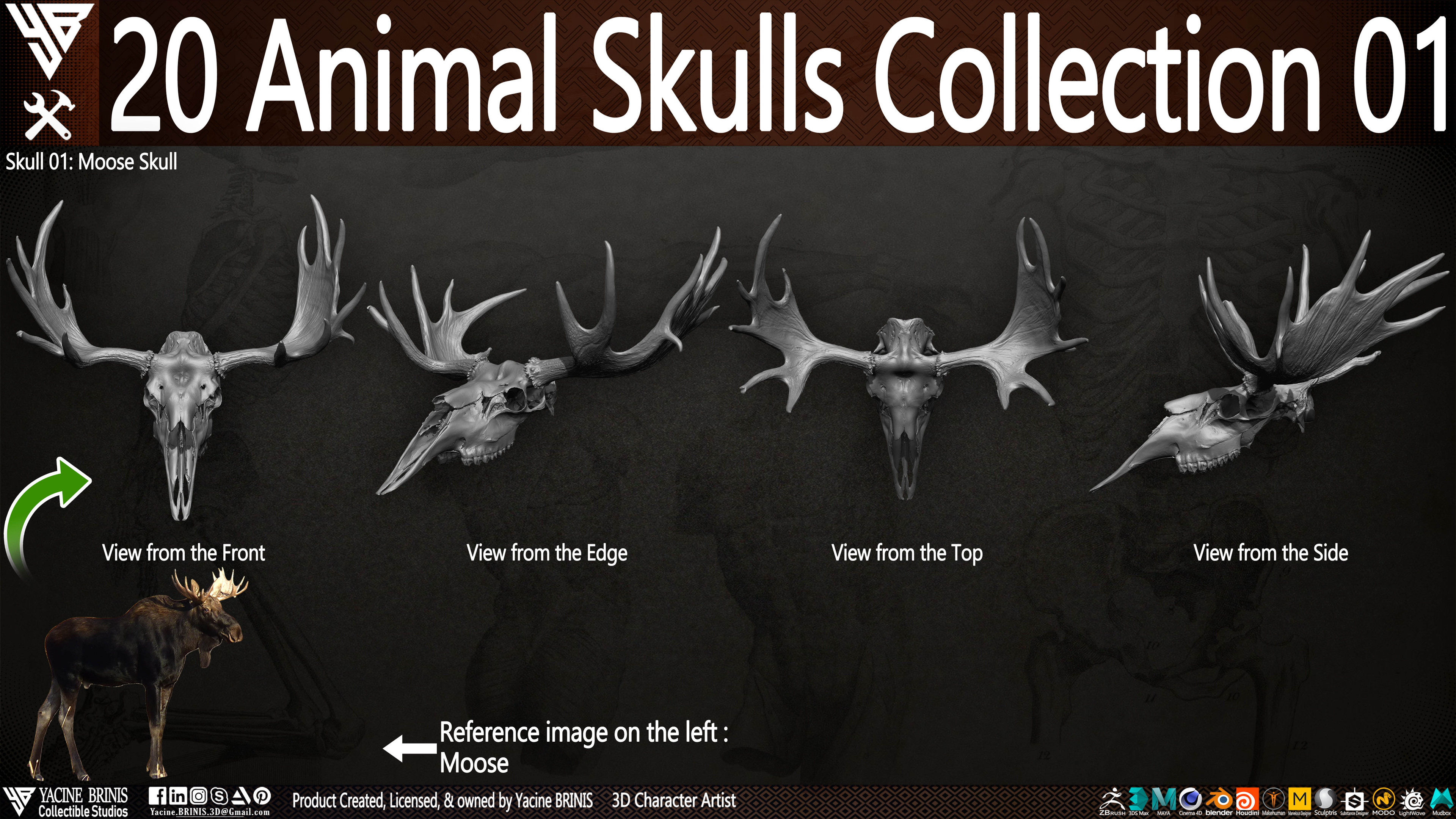 20 Animal Skulls Collection 03 By Yacine BRINIS Set 024