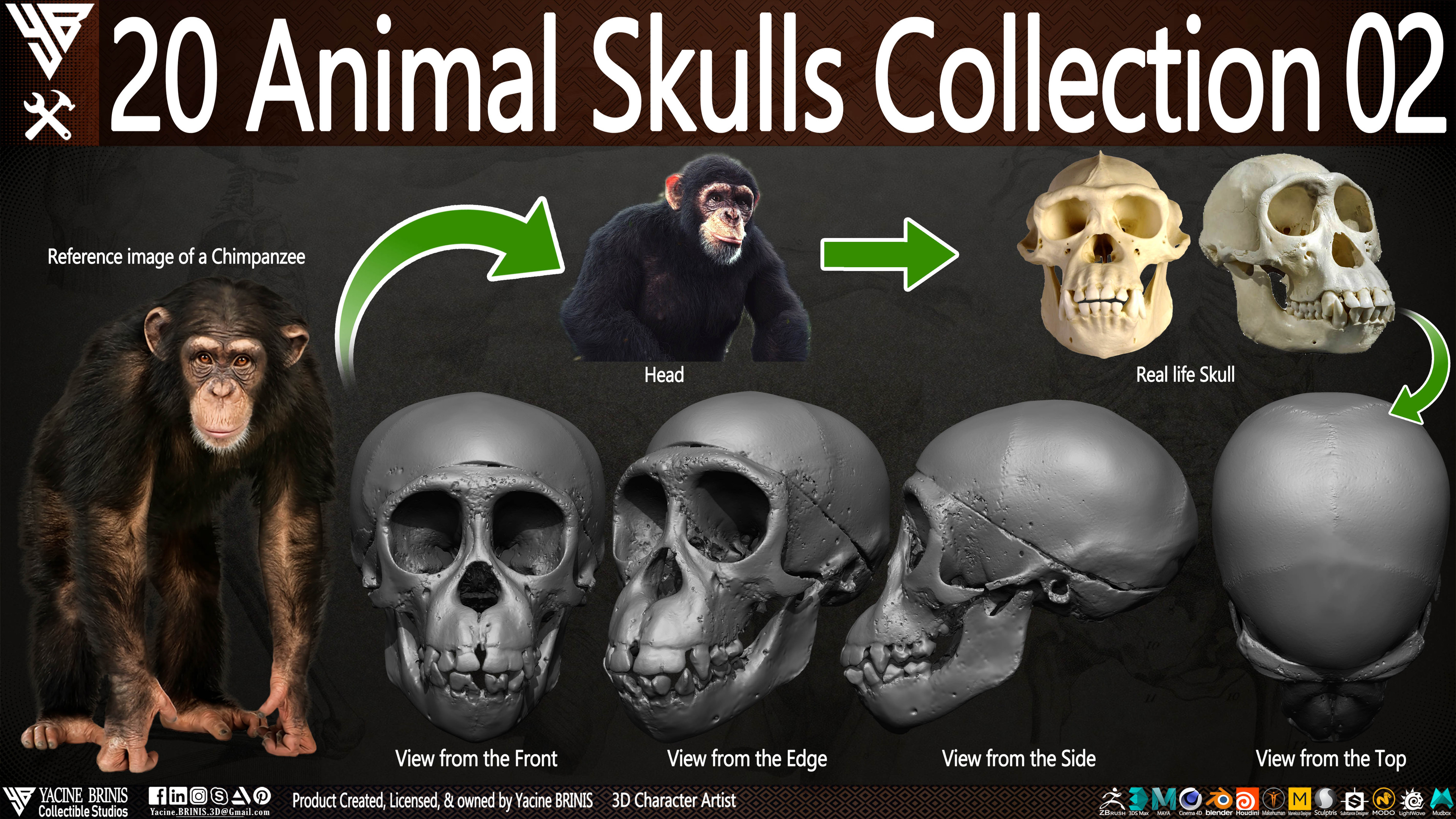 20 Animal Skulls Collection 03 By Yacine BRINIS Set 027